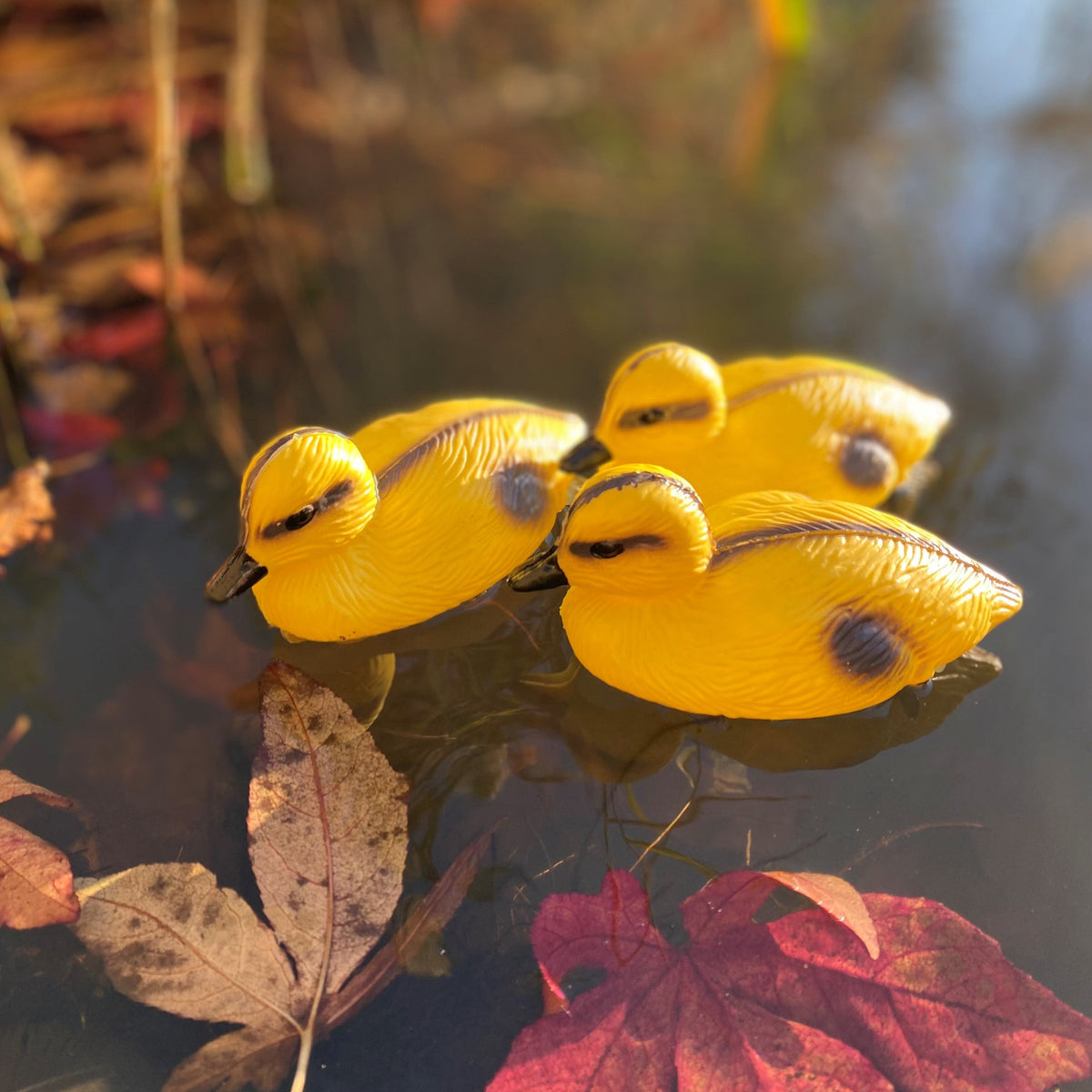 Yellow Ducklings Pond Ornament Hunting Shooting Floating Decoy - Pack of 3