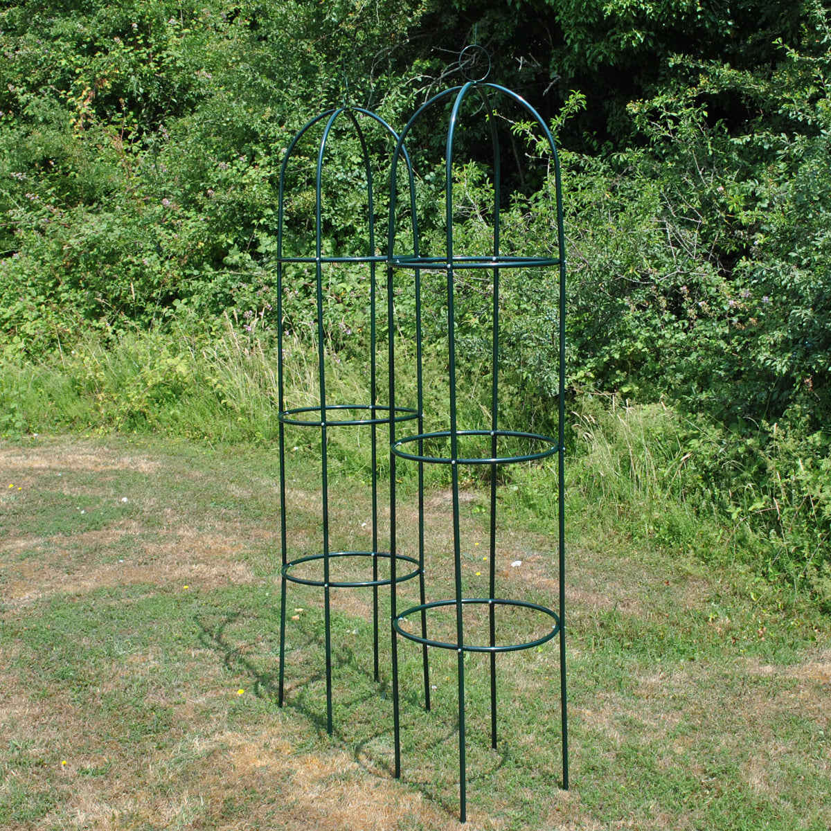 Metal Garden Obelisks Plant Support for Climbers and Roses (190cm) - Pack of 2