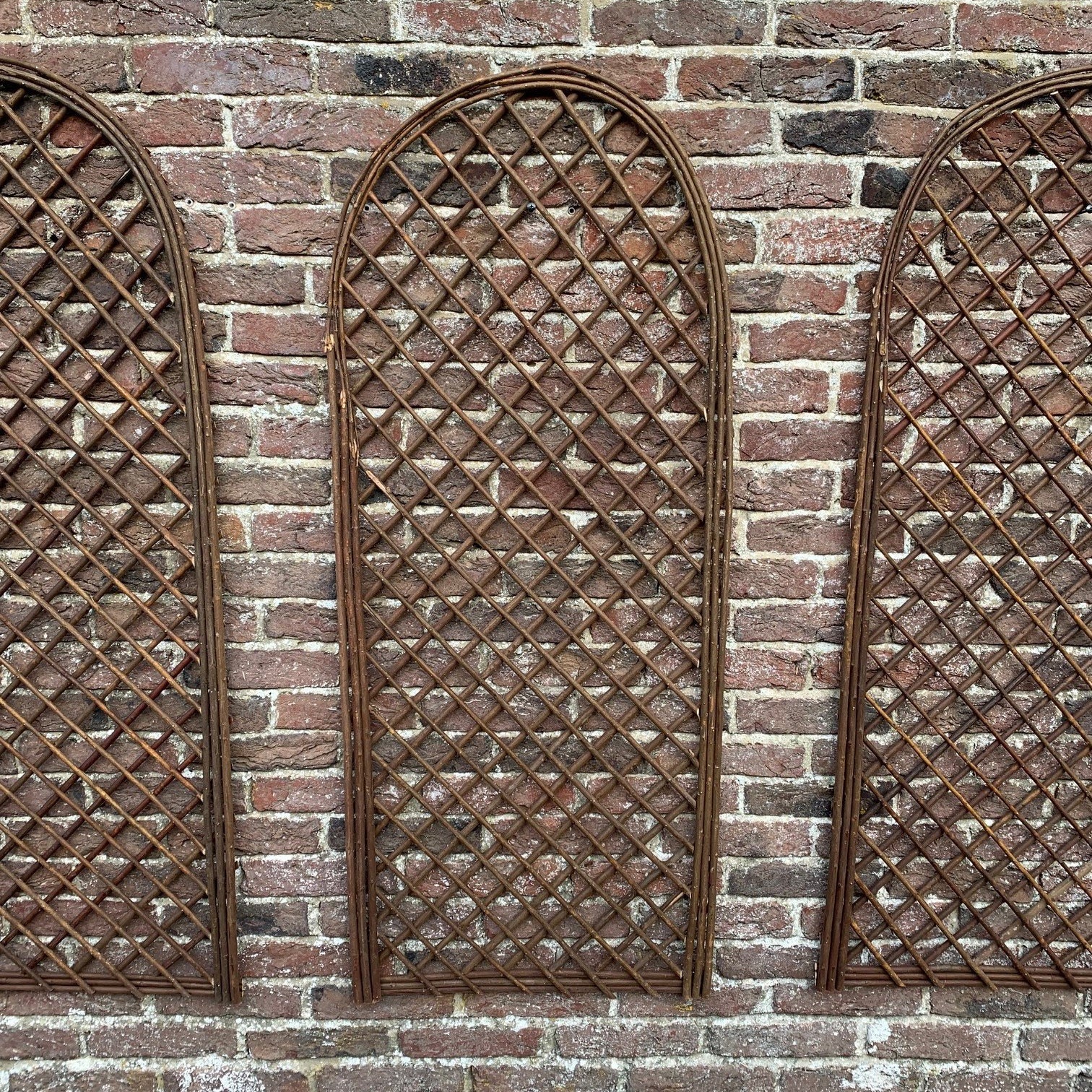 Willow Garden Trellis With Curved Top (120cm x 45cm) - Pack of 3