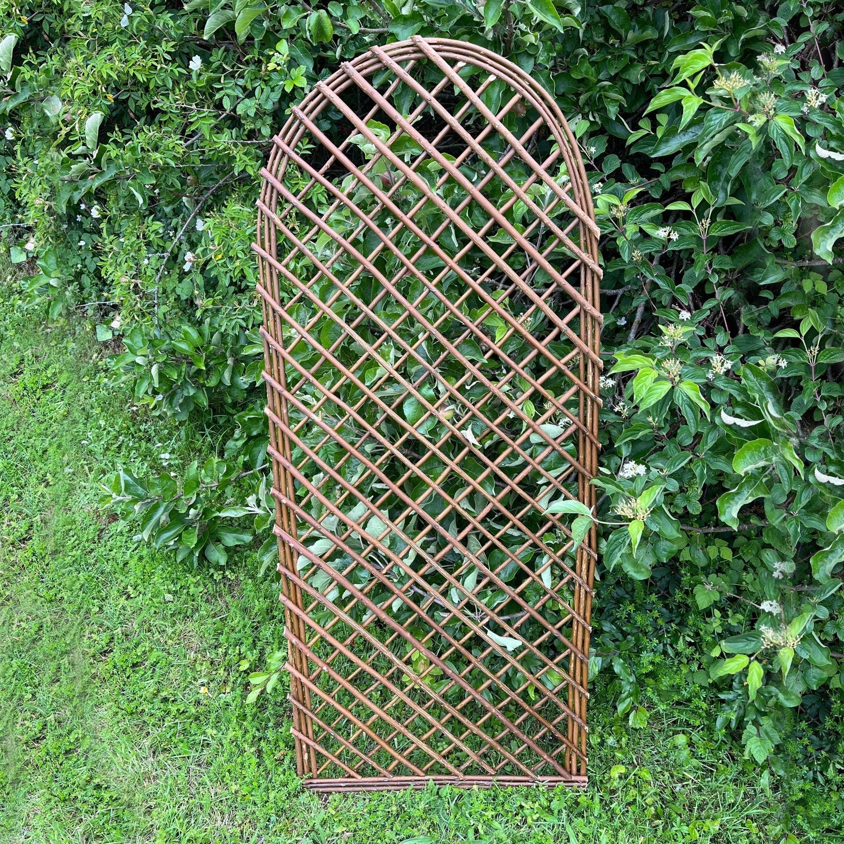 Willow Garden Trellis With Curved Top (120cm x 45cm) - Pack of 3