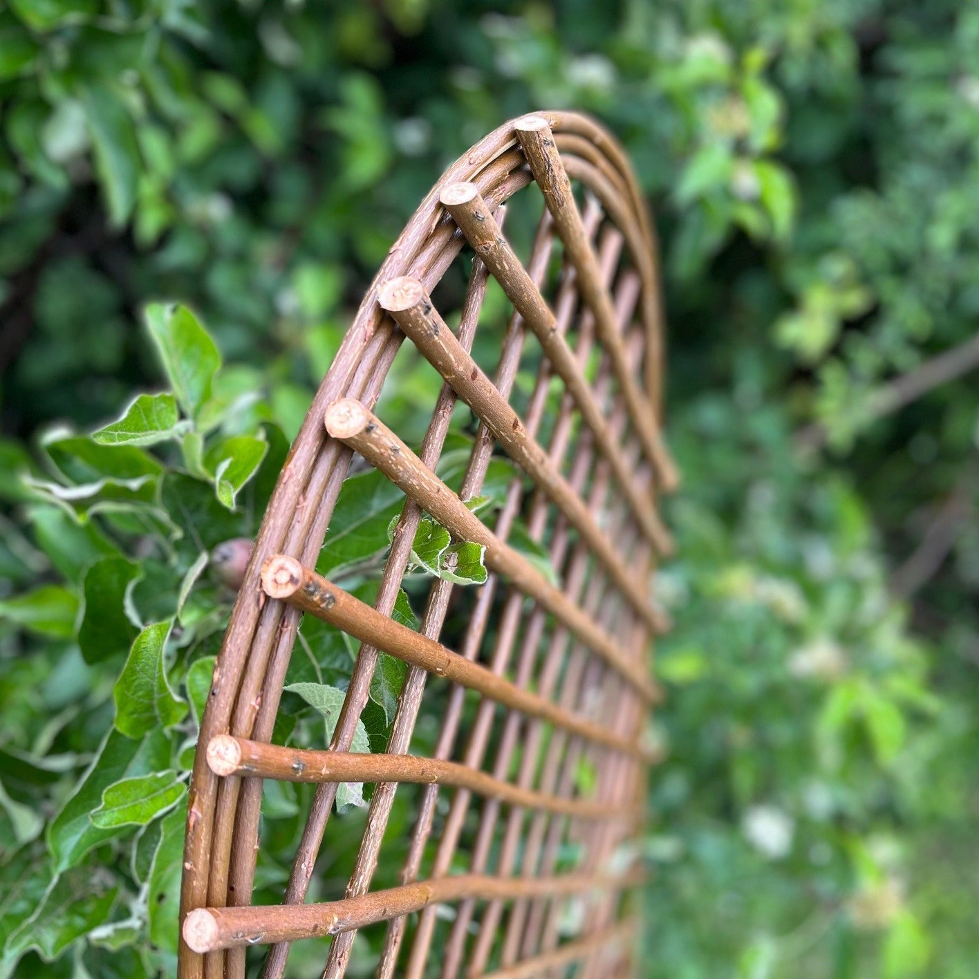 Willow Garden Trellis With Curved Top (120cm x 45cm) - Pack of 3