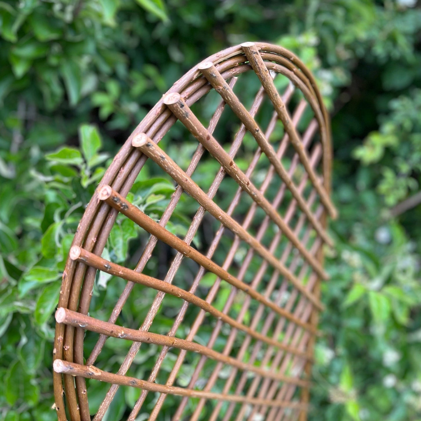 Willow Garden Trellis With Curved Top (120cm x 45cm) - Pack of 3