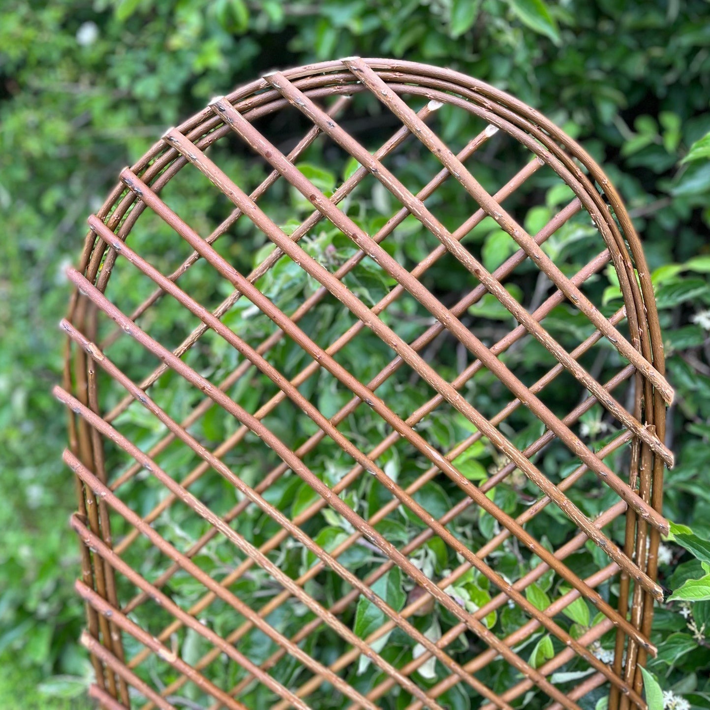 Willow Garden Trellis With Curved Top (120cm x 45cm) - Pack of 3