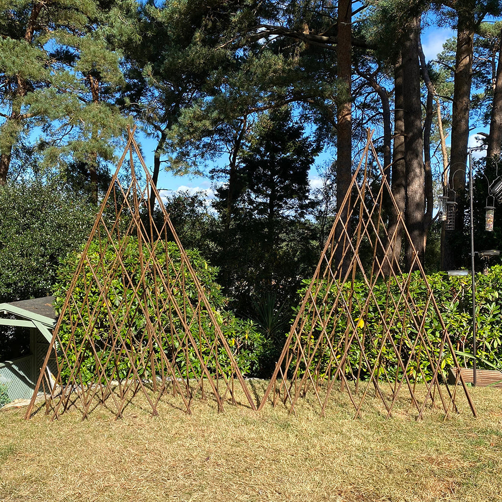Expanding Willow Obelisks Garden Plant Support (1.5m high) - Pack of 2