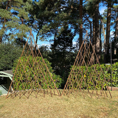Expanding Willow Obelisks Garden Plant Support (1.5m high) - Pack of 2