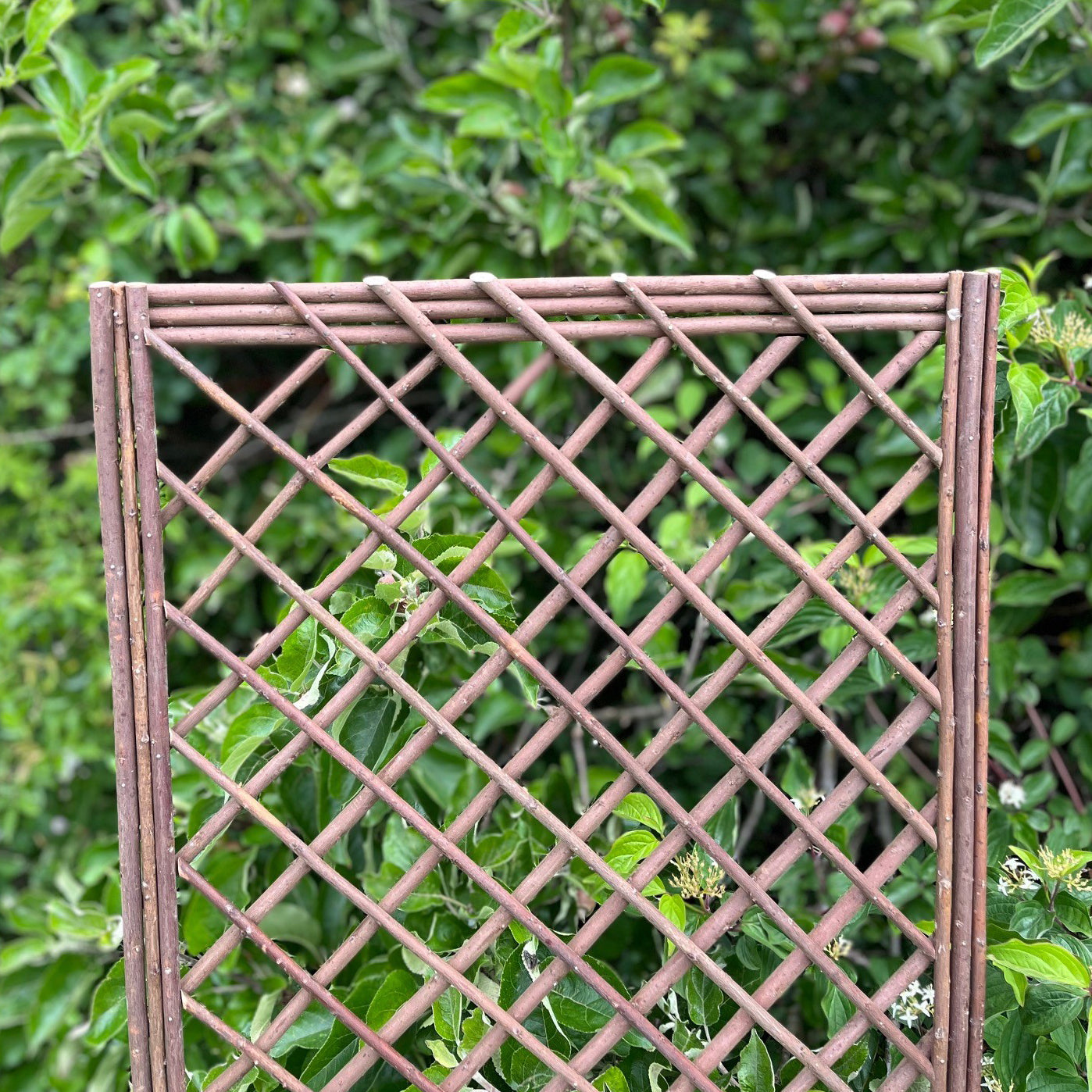 Willow Garden Trellis Framed Panel (120cm x 45cm) - Pack of 3