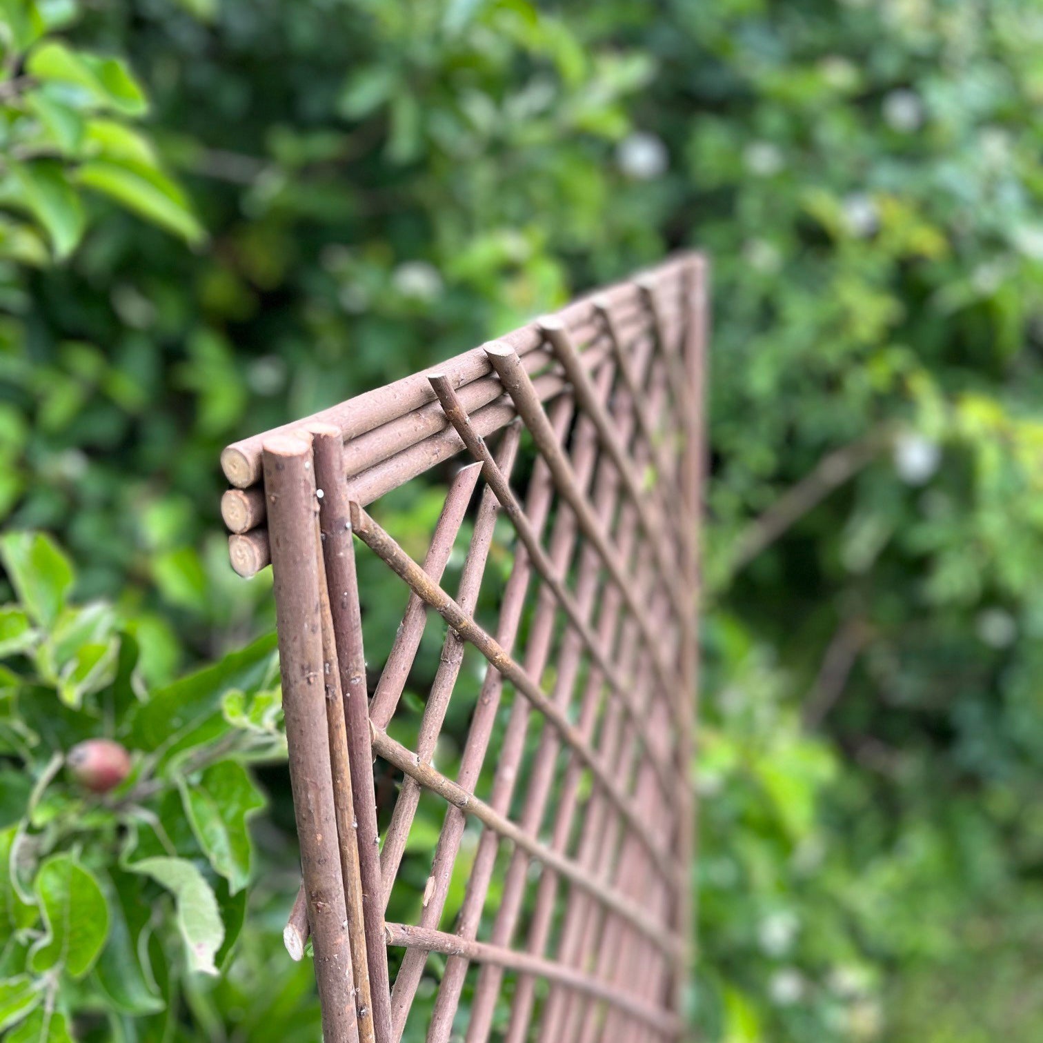 Willow Garden Trellis Framed Panel (120cm x 45cm) - Pack of 3