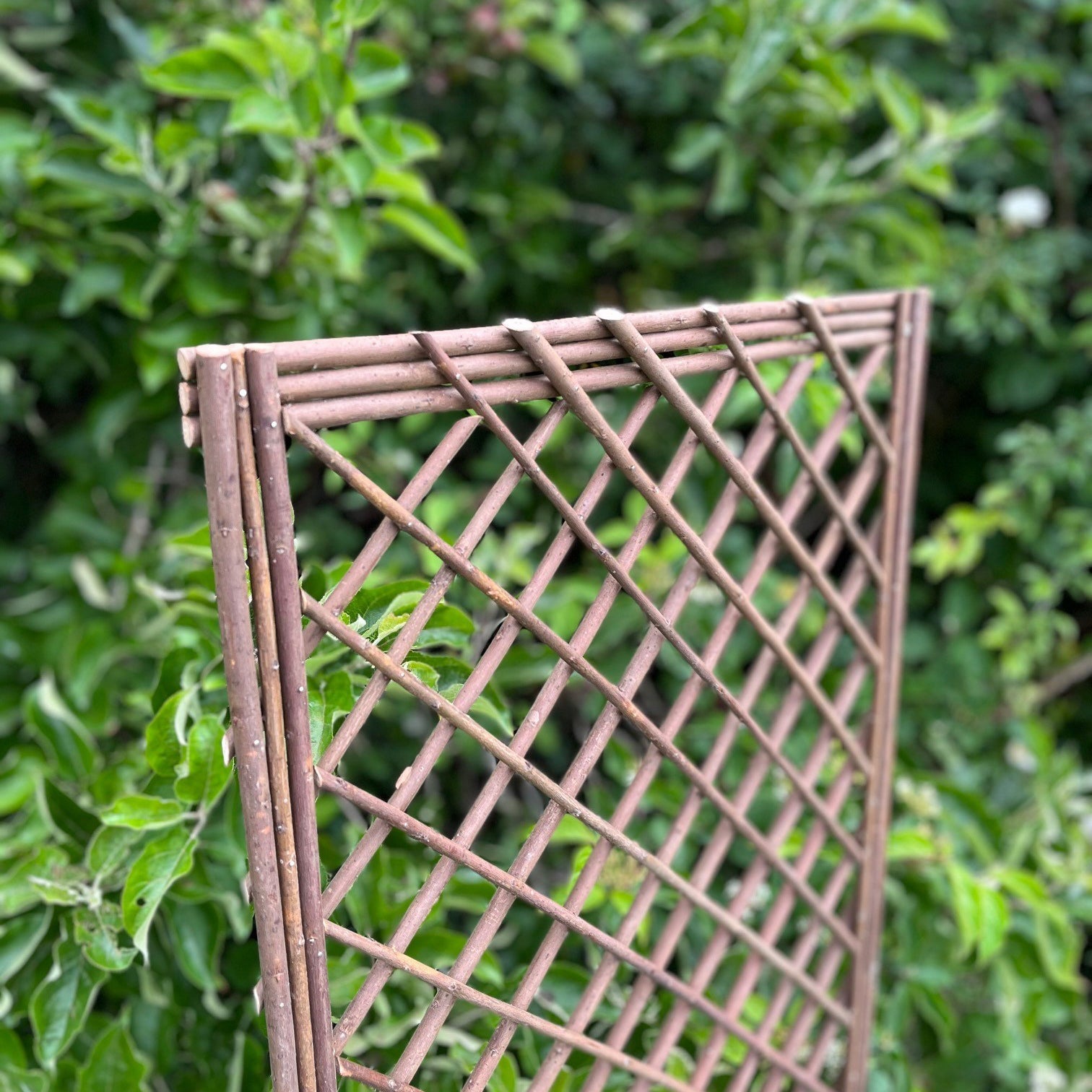 Willow Garden Trellis Framed Panel (120cm x 45cm) - Pack of 3