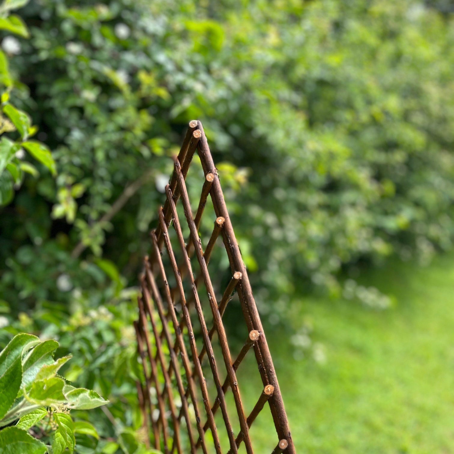 Willow Lattice Garden Trellis With Gothic Top (120cm x 45cm) - Pack of 3