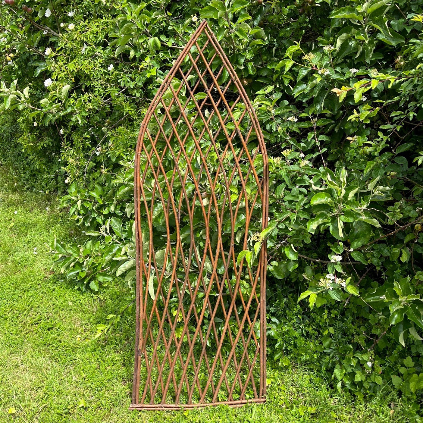 Willow Lattice Garden Trellis With Gothic Top (120cm x 45cm) - Pack of 3