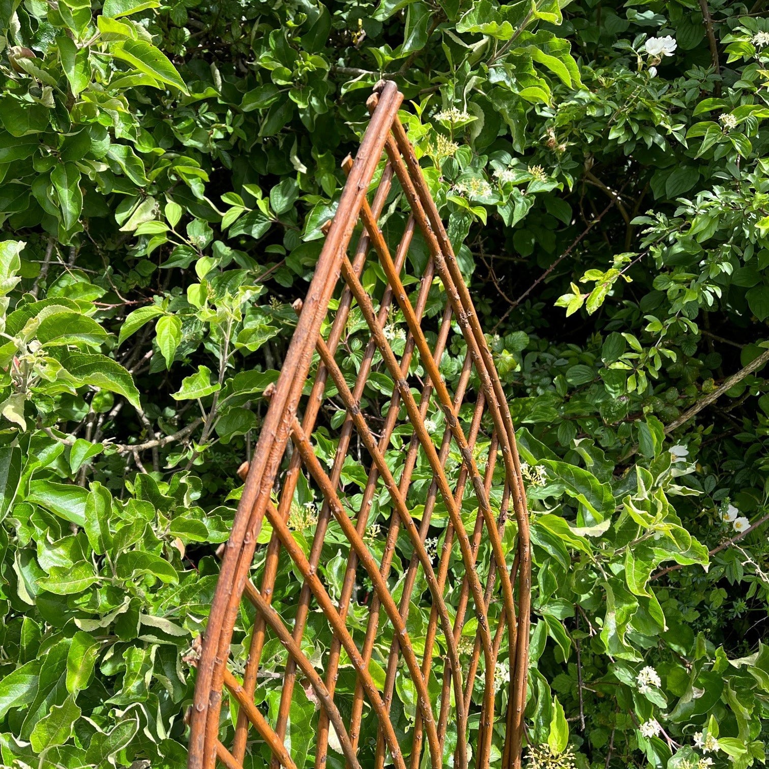 Willow Lattice Garden Trellis With Gothic Top (120cm x 45cm) - Pack of 3