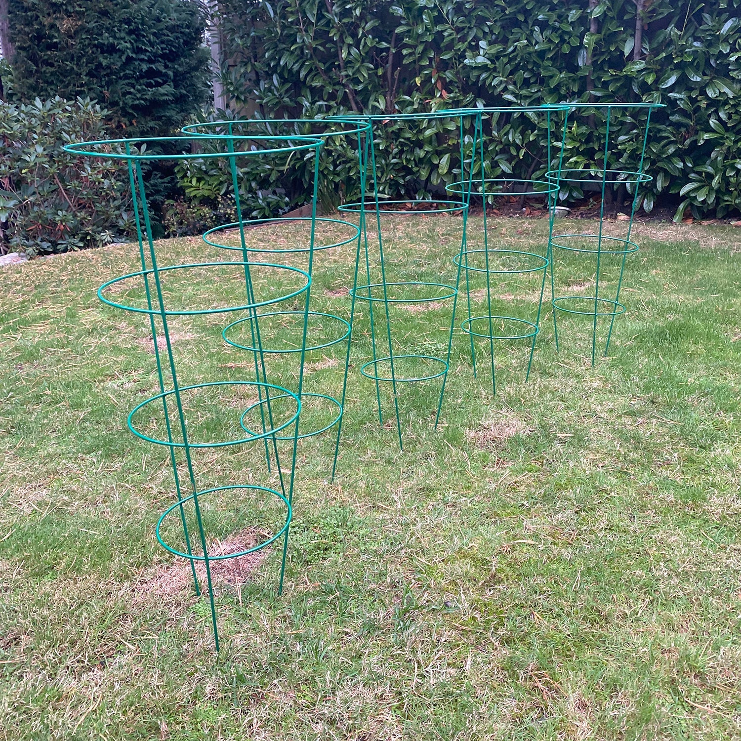 Conical Metal Garden Herbaceous Plant Support Rings (75cm) - Pack of 5