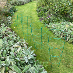 Conical Metal Garden Herbaceous Plant Support Rings (75cm) - Pack of 5