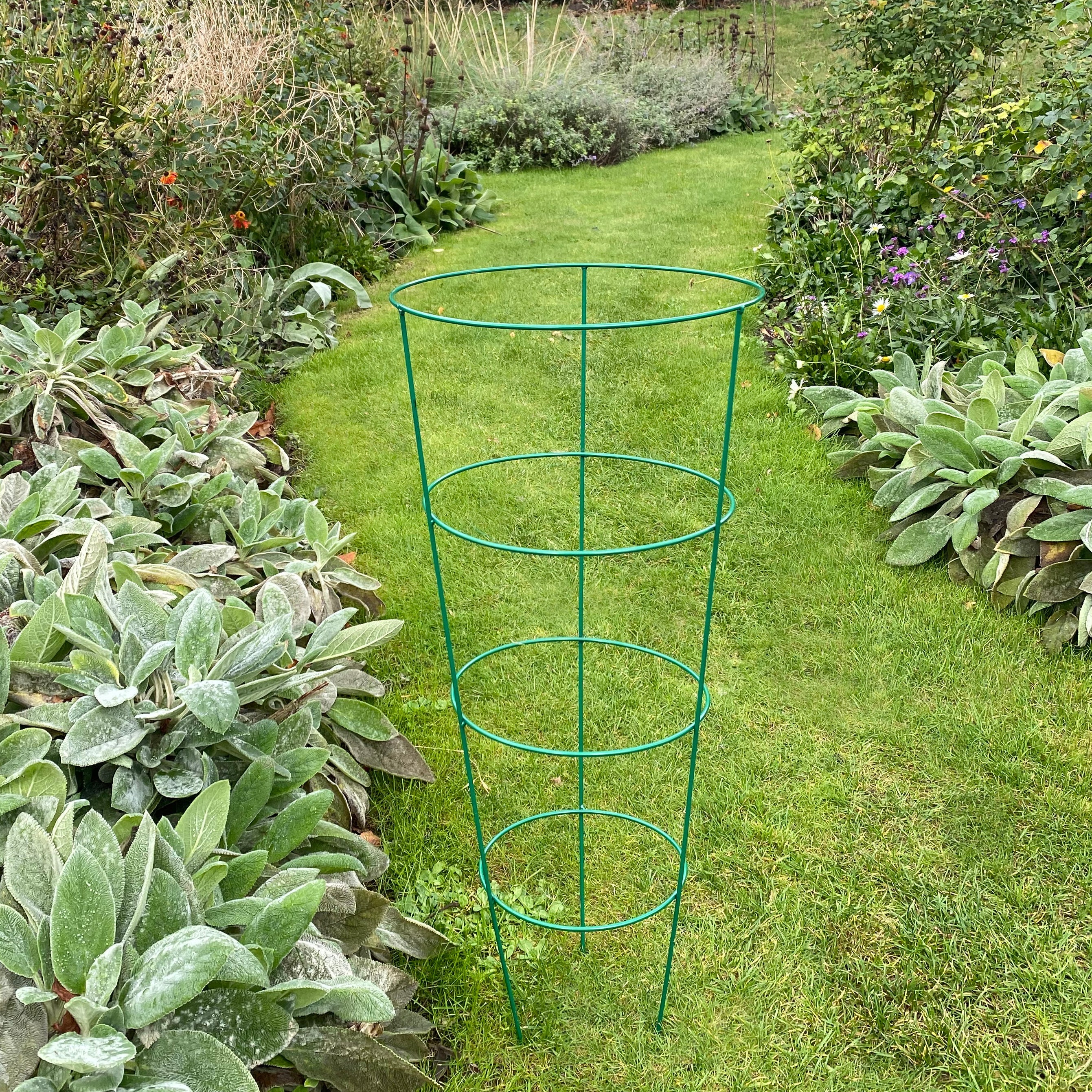 Conical Metal Garden Herbaceous Plant Support Rings (75cm) - Pack of 5