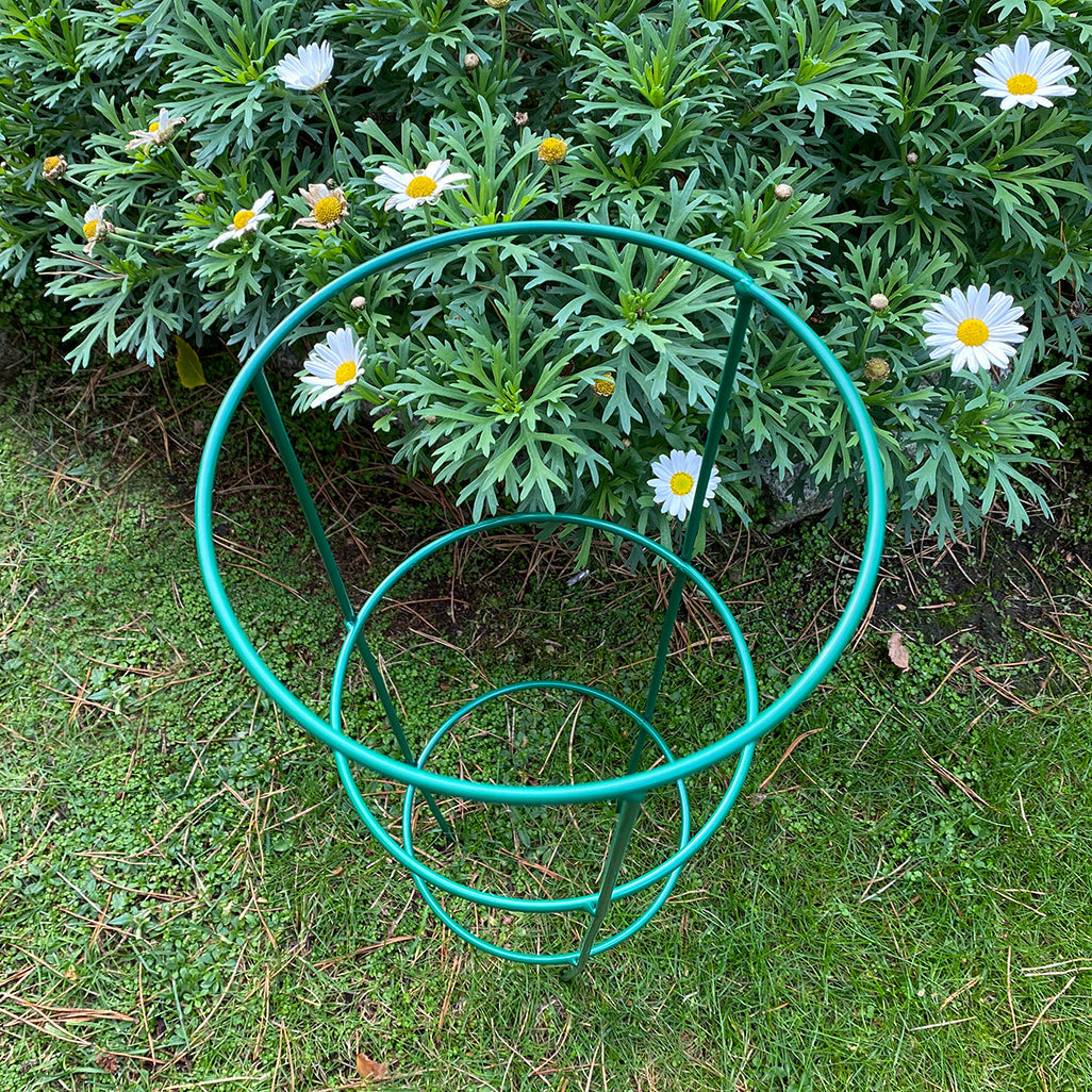 Conical Metal Garden Herbaceous Plant Support Rings (48cm) - Pack of 5