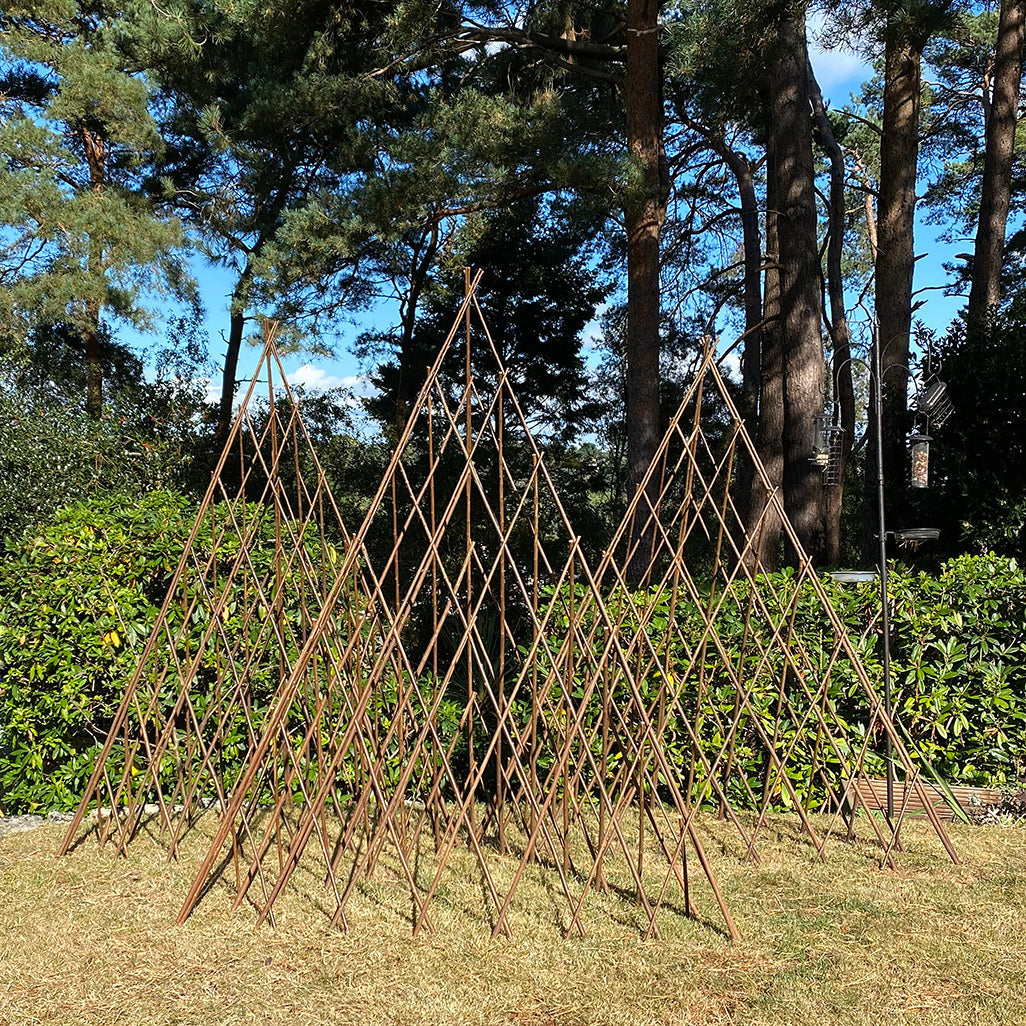 Expanding Willow Obelisks Garden Plant Support (1.5m high) - Pack of 3