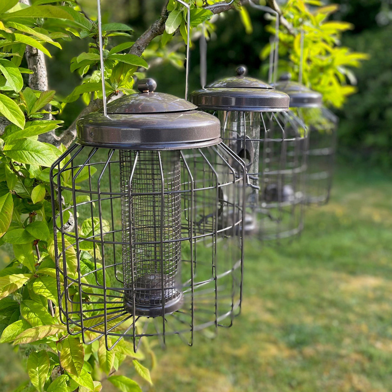 Deluxe Heavy Duty Squirrel Proof Hanging Nut, Seed & Fat Ball Bird Feeders (Set of 3)