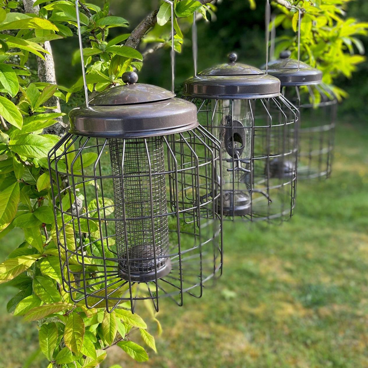 Deluxe Heavy Duty Squirrel Proof Hanging Nut, Seed & Fat Ball Bird Feeders (Set of 3)