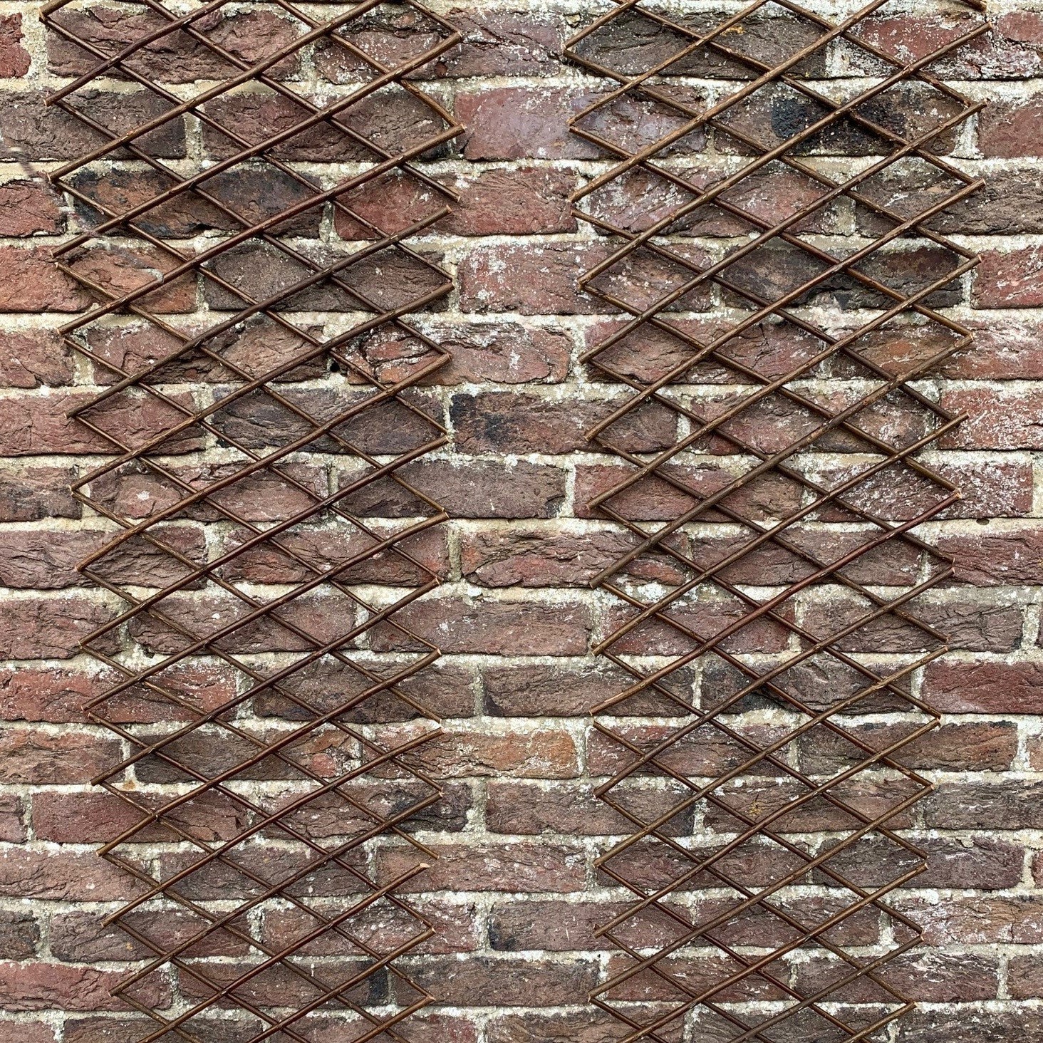 Expanding Willow Garden Trellis (180cm x 30cm) -  Pack of 2