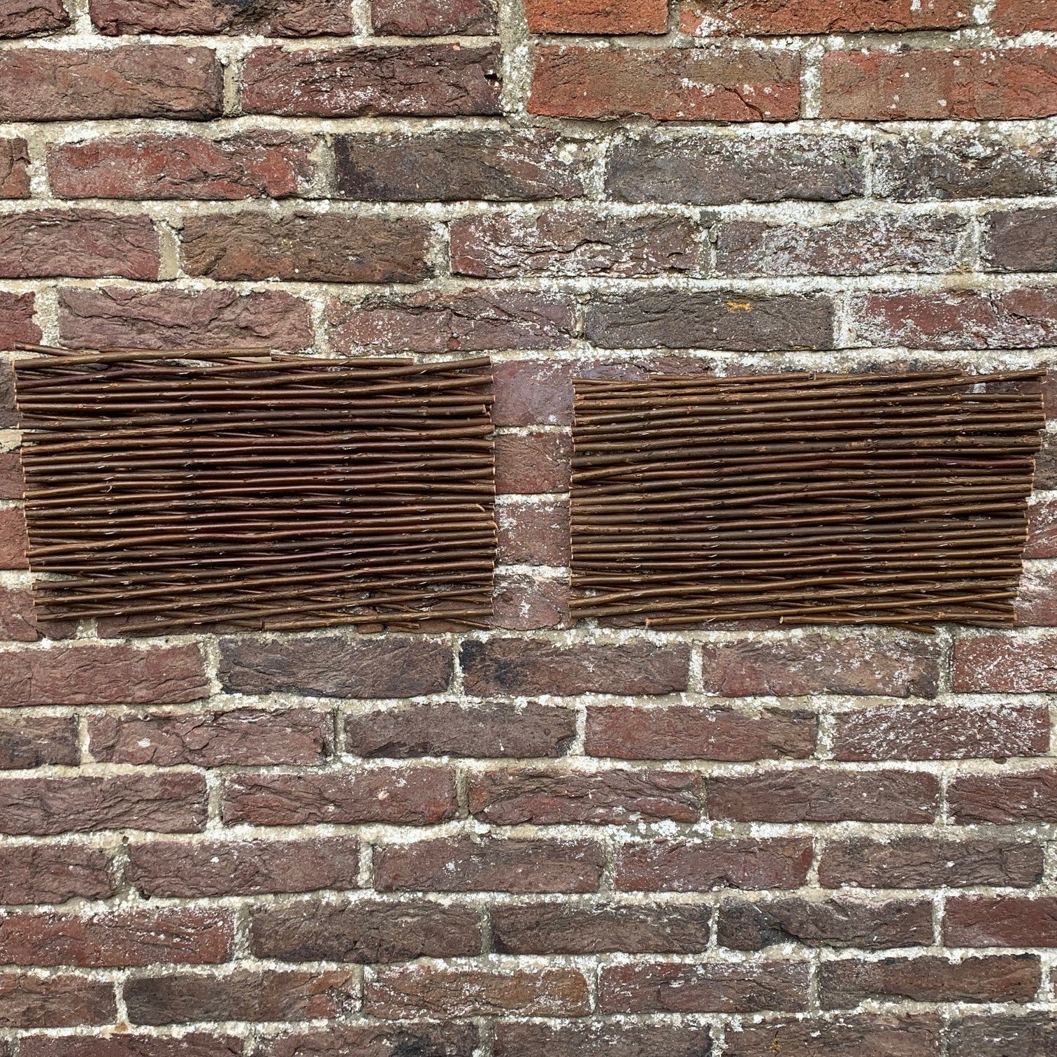 Expanding Willow Garden Trellis (180cm x 30cm) -  Pack of 2