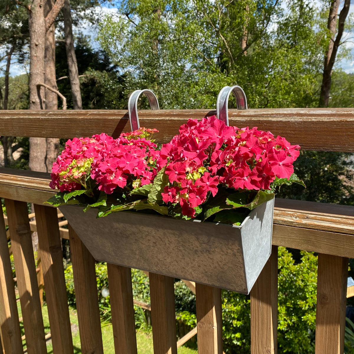 Zinc Balcony Railing Hanging Planters - Pack of 2