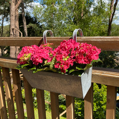 Zinc Balcony Railing Hanging Planters - Pack of 2