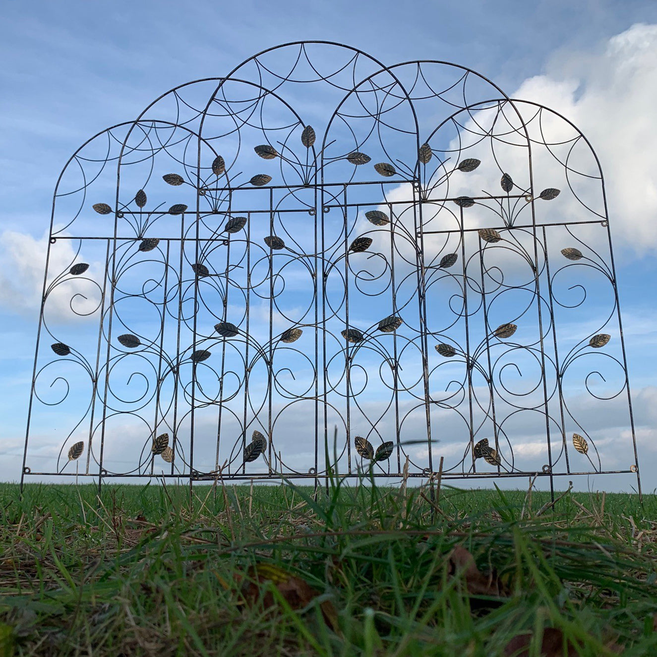 Leaf Design Metal Garden Trellis (120cm x 50cm) - Pack of 5