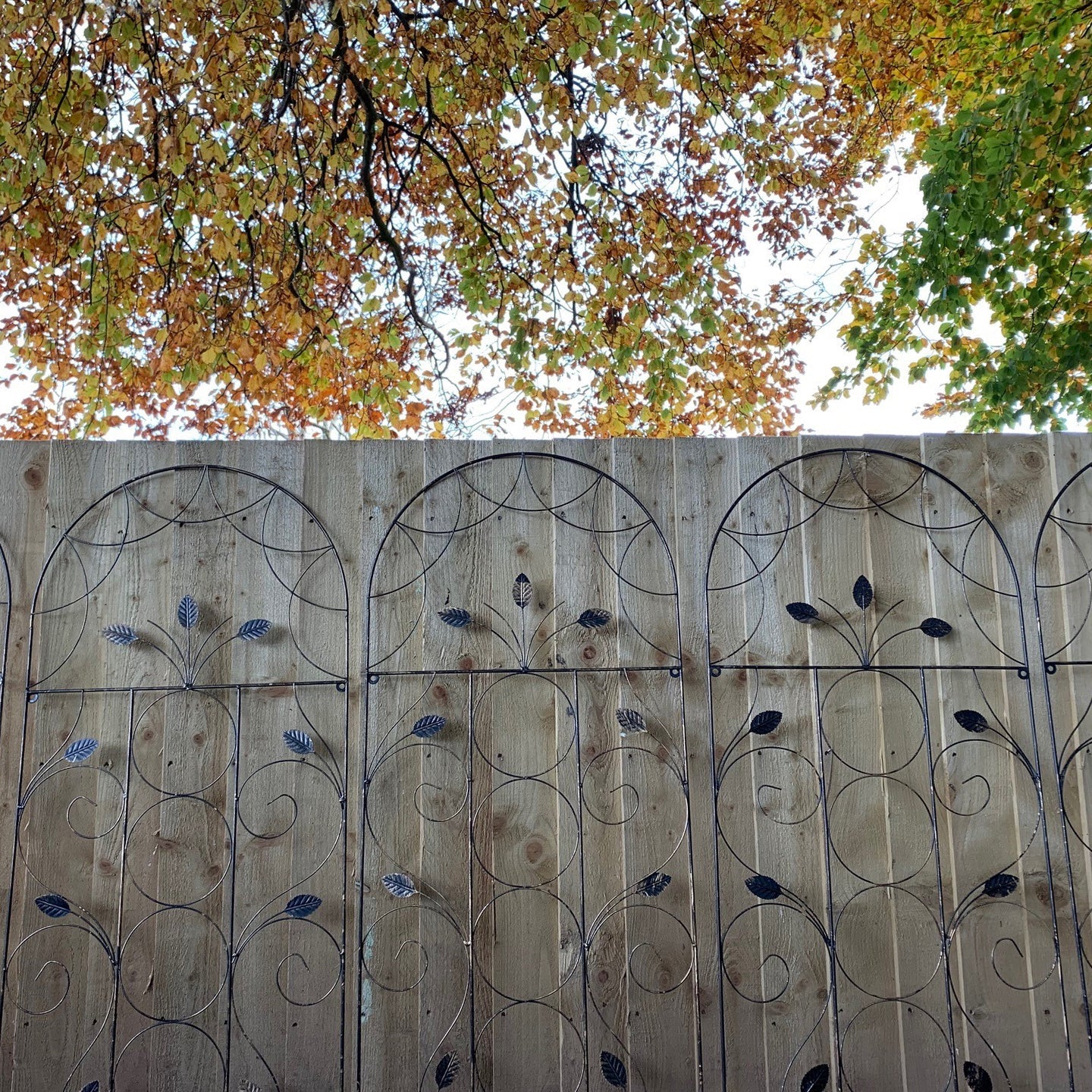 Leaf Design Metal Garden Trellis (120cm x 50cm) - Pack of 5