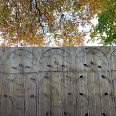 Leaf Design Metal Garden Trellis (120cm x 50cm) - Pack of 5