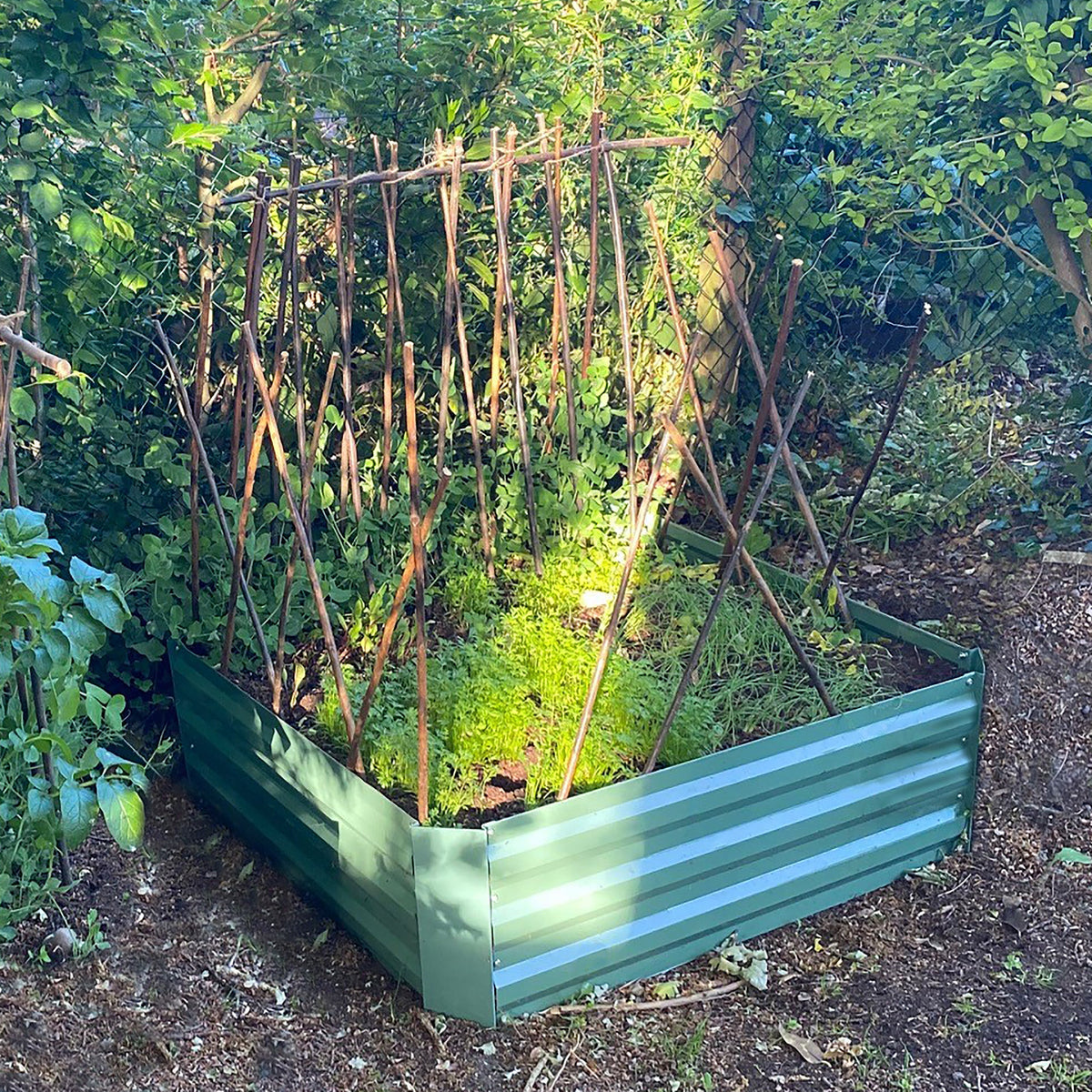 Metal Raised Vegetable Beds in Green (100cm x 100cm x 30cm) - Pack of 3