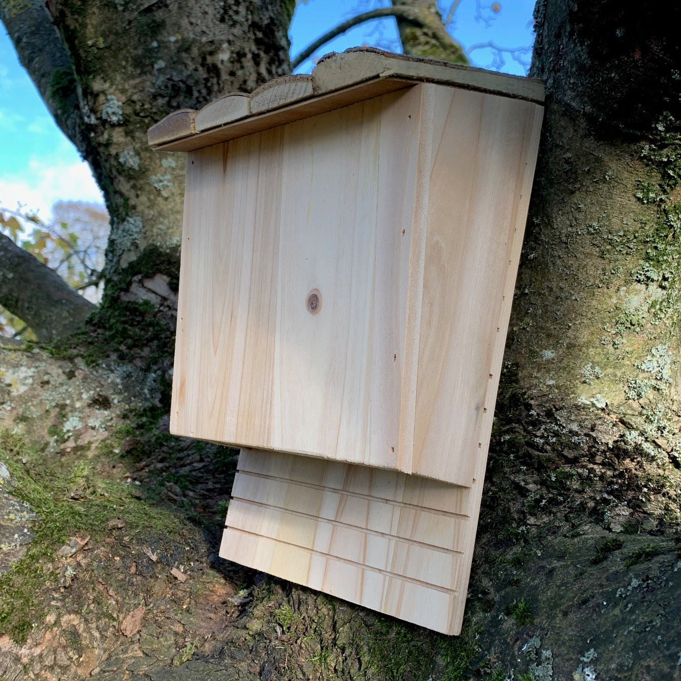 Large Wooden Bat Nesting Roosting Box (Set of 2)