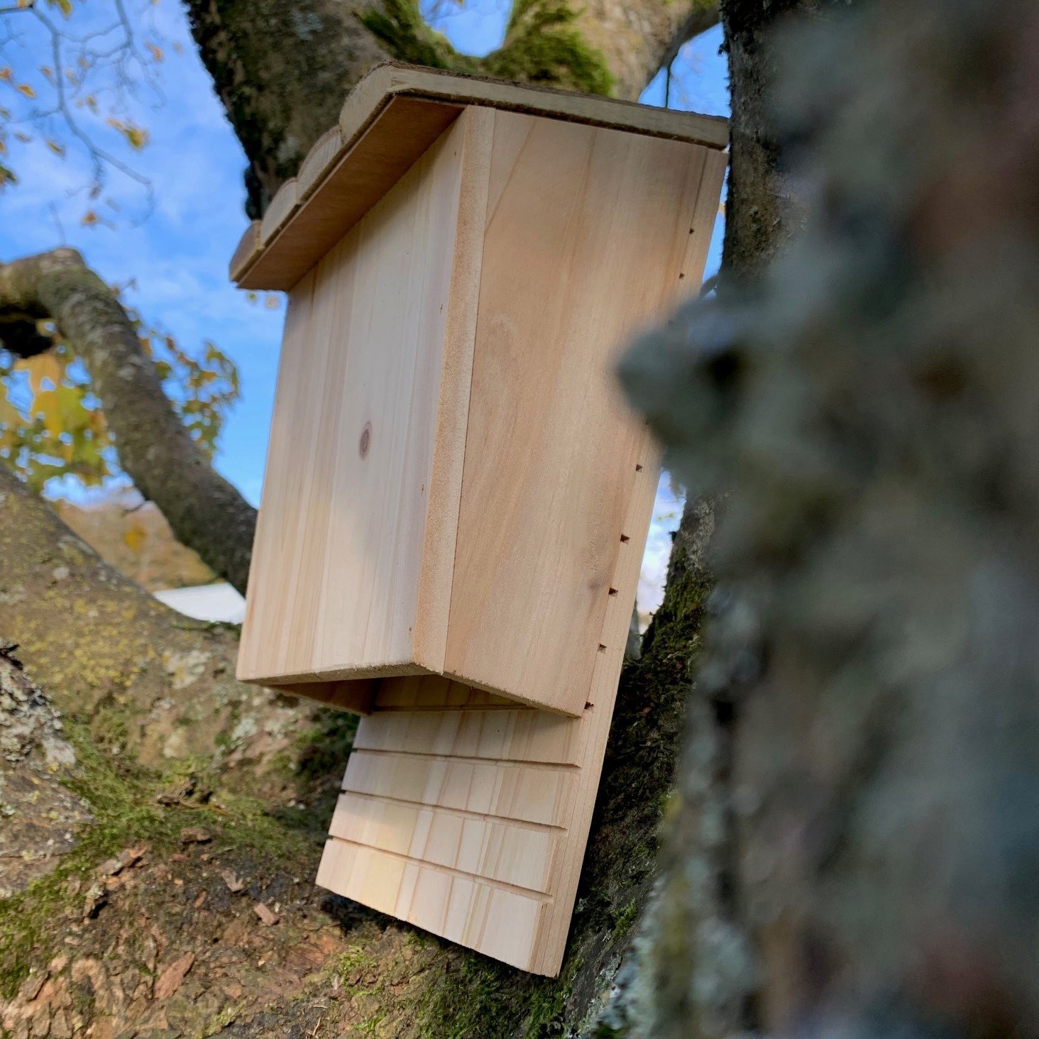 Large Wooden Bat Nesting Roosting Box (Set of 2)
