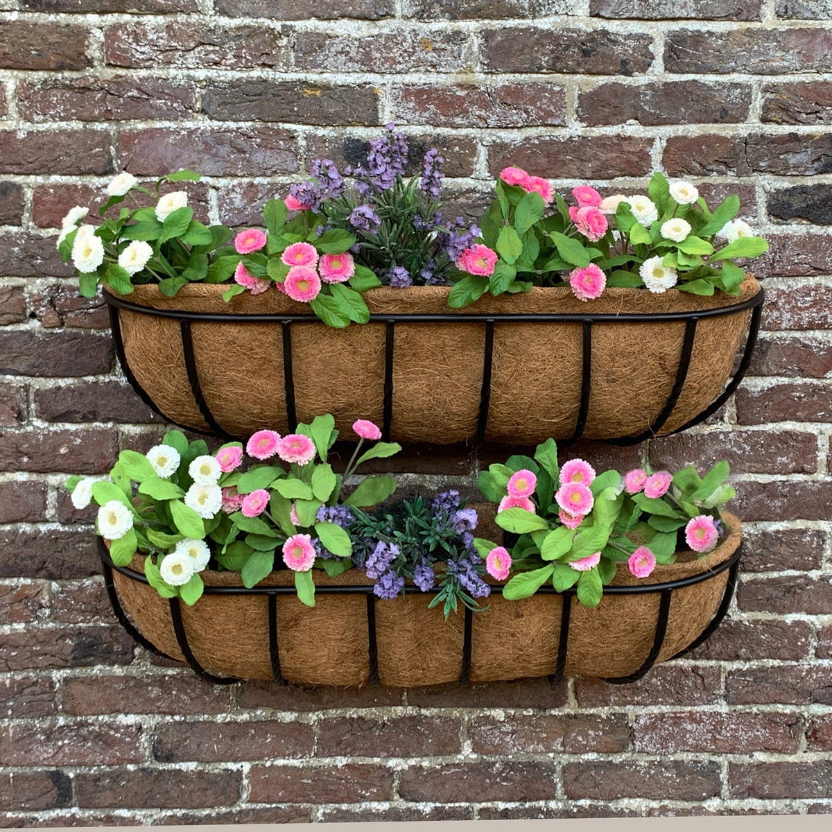 Manor Garden Black Metal Wall Basket Manger Trough Planters (75cm) - Pack of 2