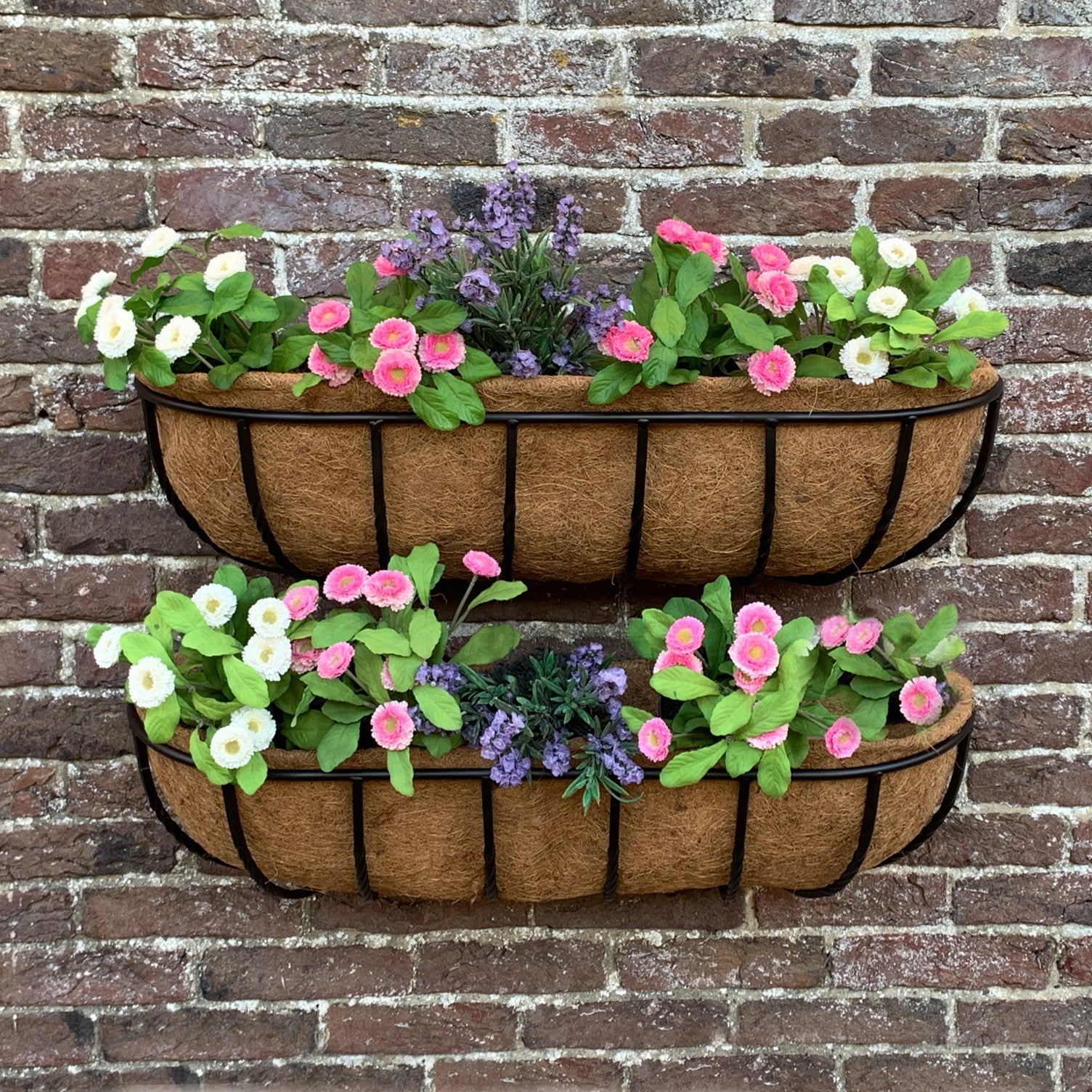 Manor Garden Black Metal Wall Basket Manger Trough Planters (75cm) - Pack of 2