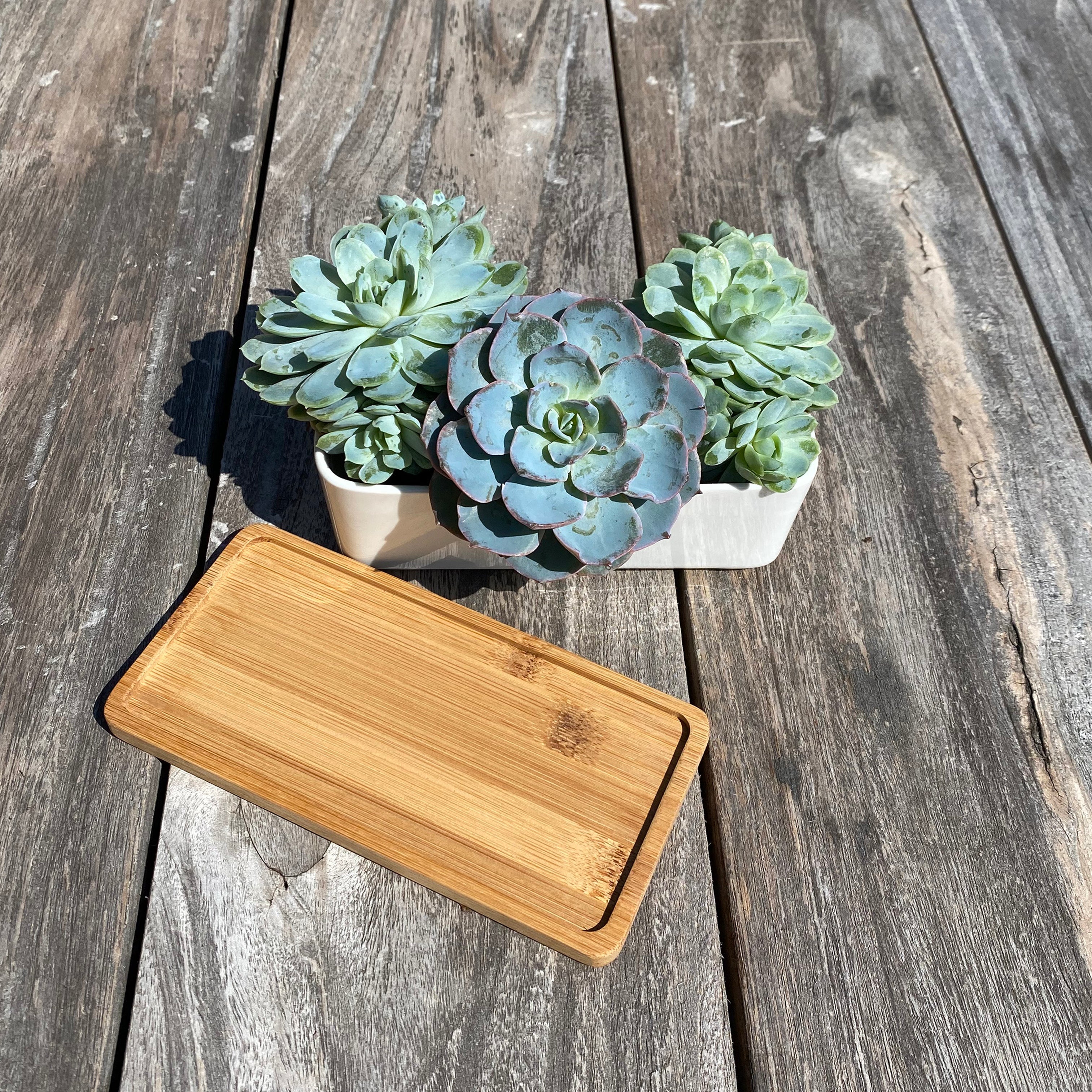 White Succulent and Cactus Ceramic Trough Plant Pots - Pack of 2