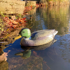 Mallard Duck Pond Ornament Hunting Shooting Floating Decoy