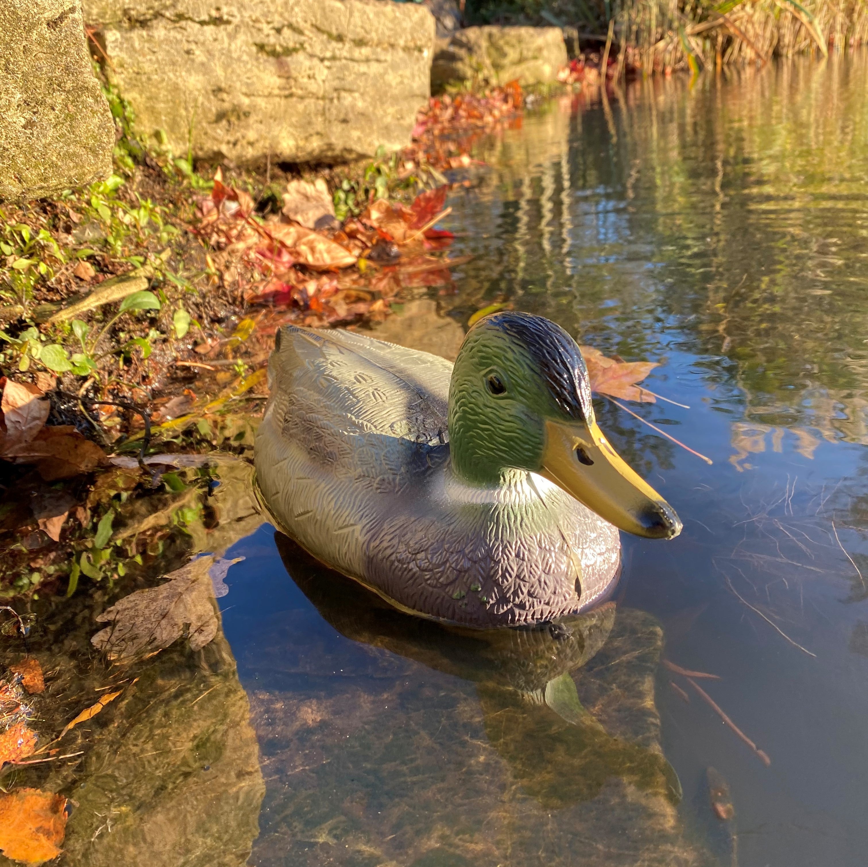 Mallard Duck Pond Ornament Hunting Shooting Floating Decoy