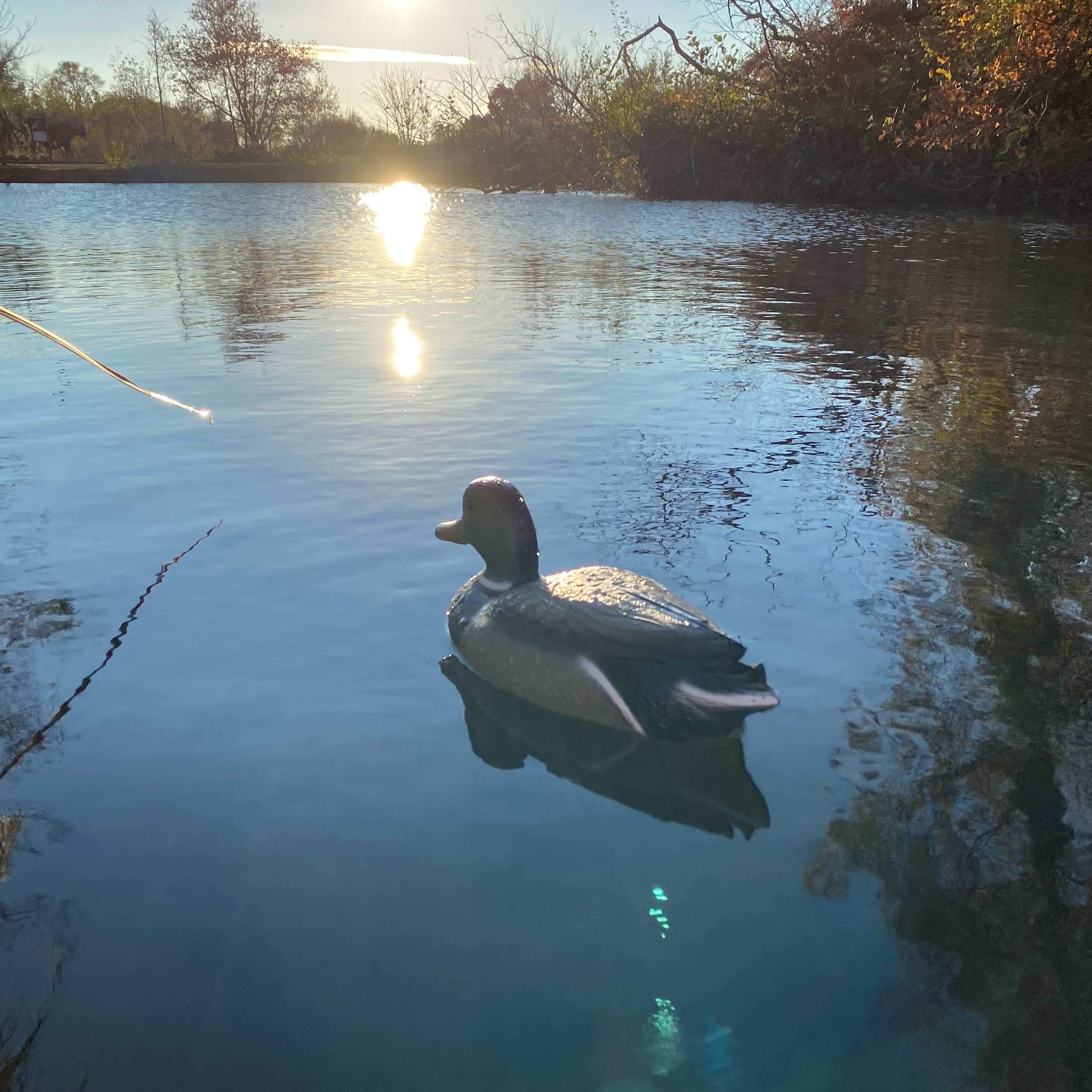 Mallard Duck Pond Ornament Hunting Shooting Floating Decoy