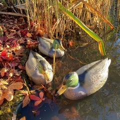 Mallard Duck Pond Ornament Hunting Shooting Floating Decoy