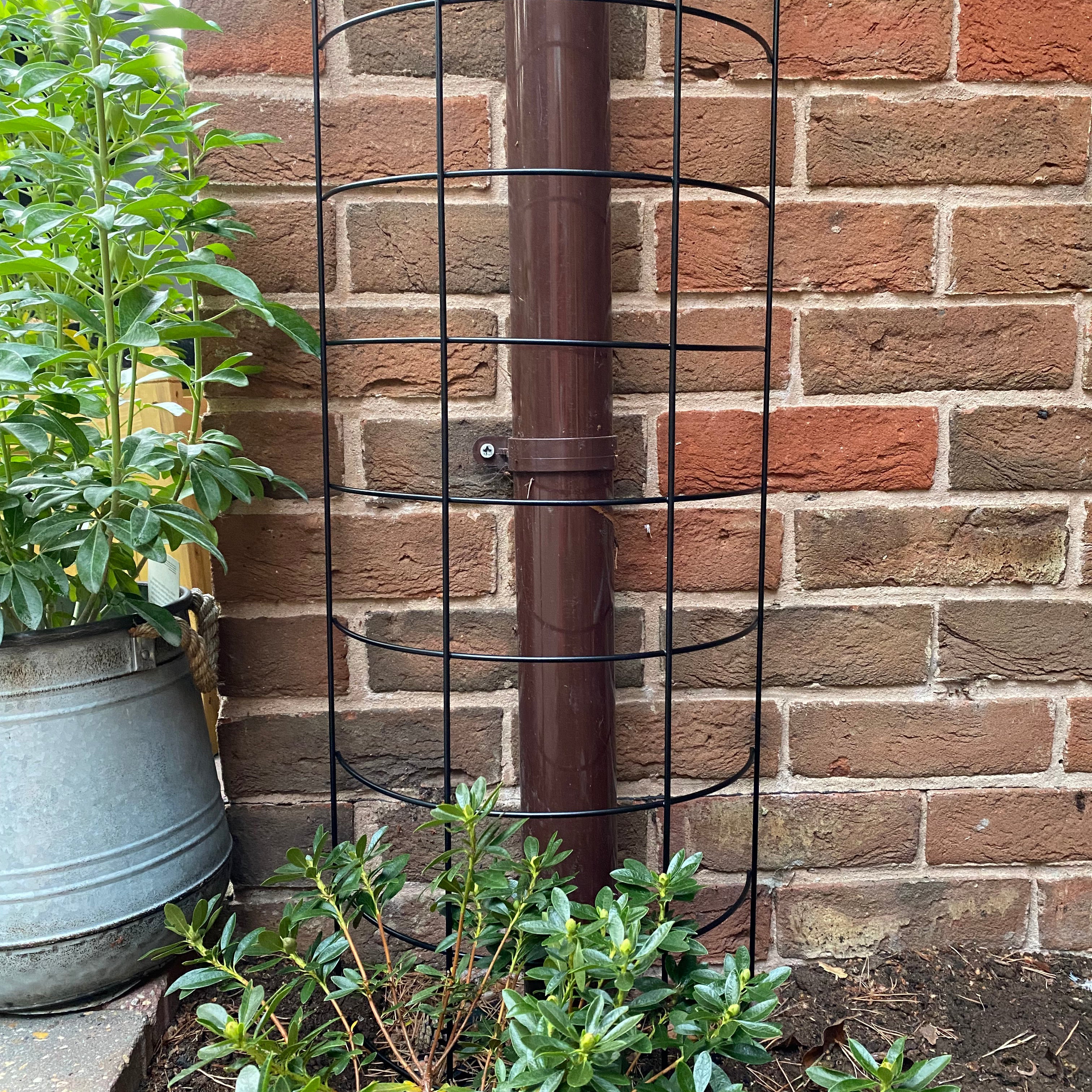Large Metal Tube Trellis Semi Circular for Drainpipes - Pack of 2