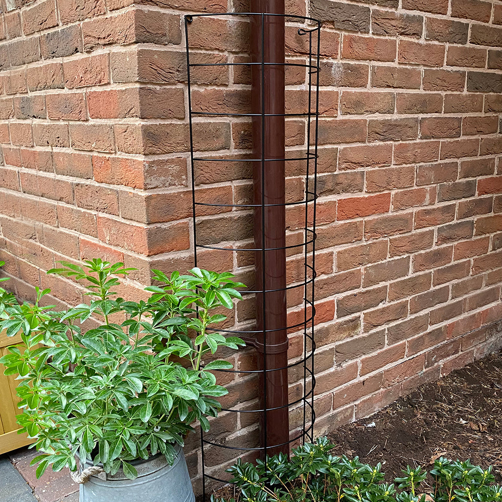 Large Metal Tube Trellis Semi Circular for Drainpipes - Pack of 2