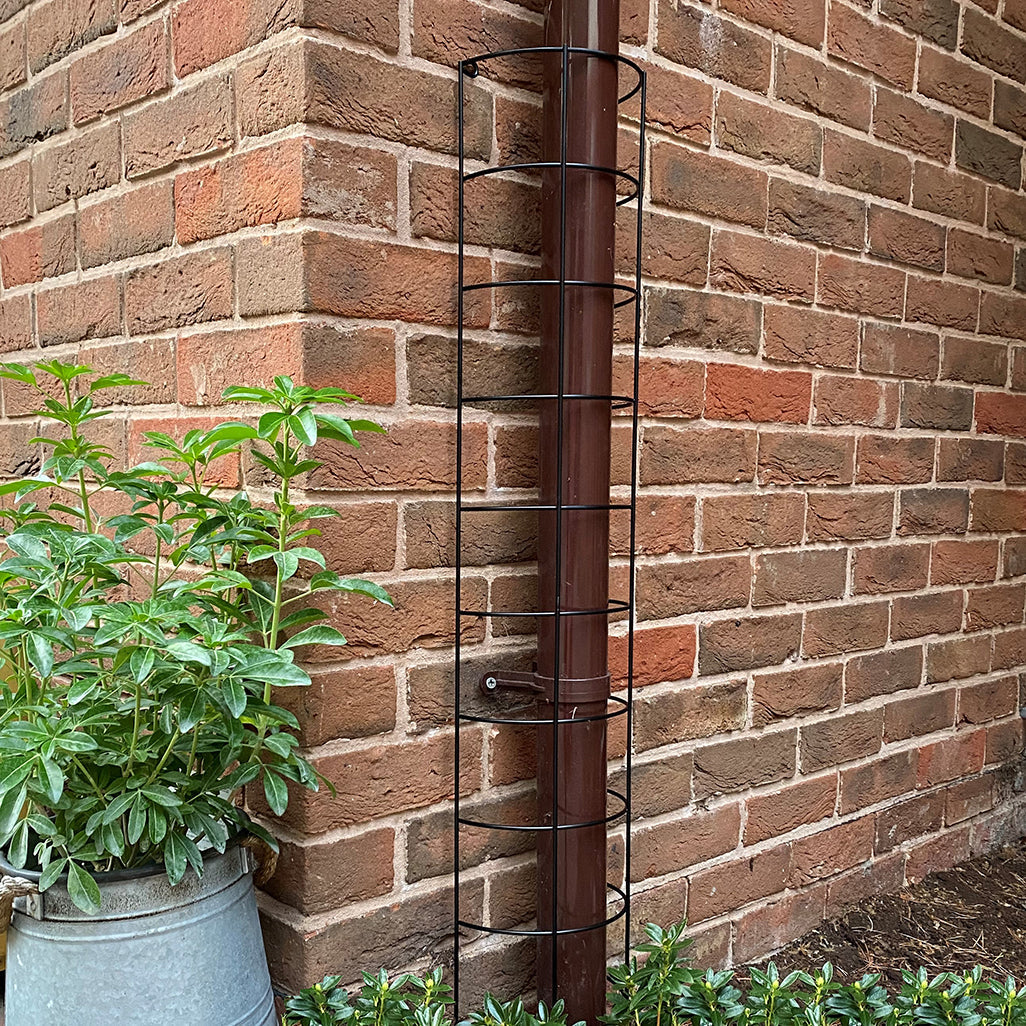 Metal Tube Trellis Semi Circular for Drainpipes - Pack of 2