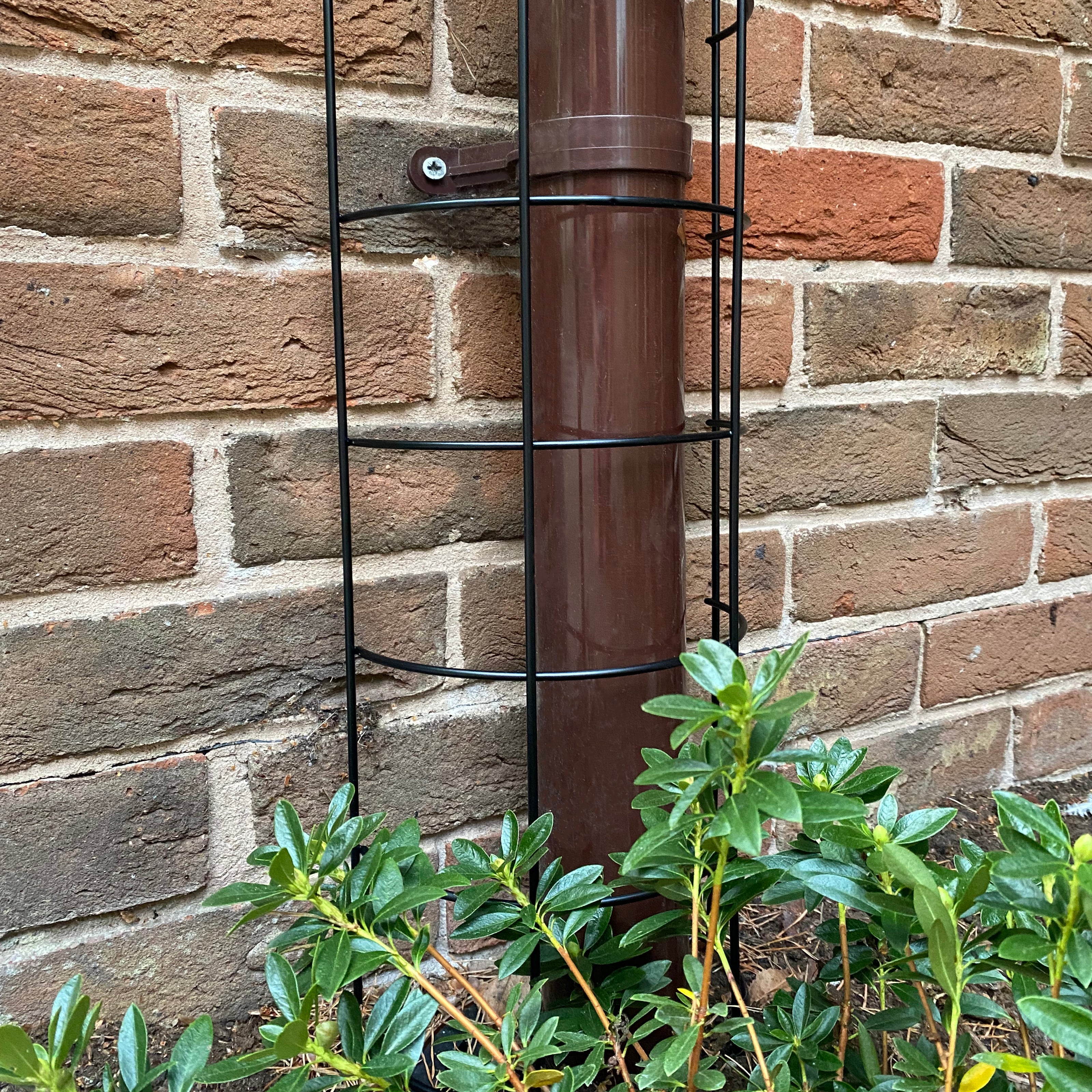 Metal Tube Trellis Semi Circular for Drainpipes - Pack of 2