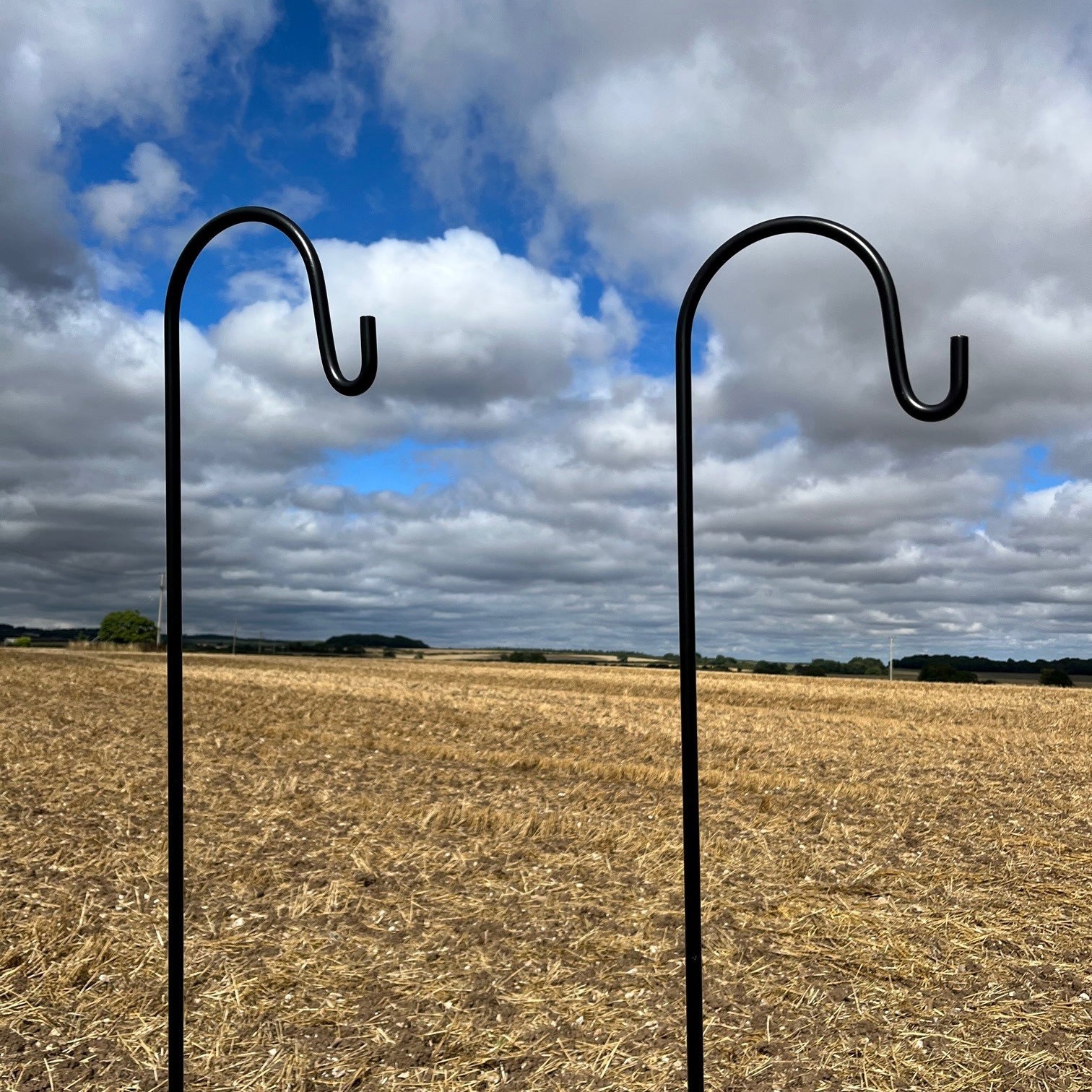 Heavy Duty Garden Shepherds Crook Black Metal Border Hooks (2.18m) - Pack of 2