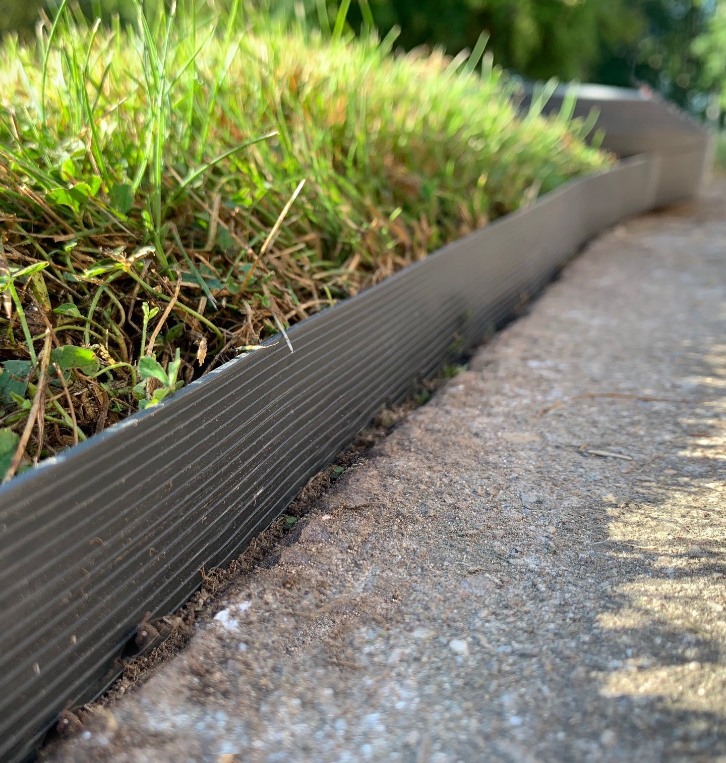 Flexible Black Plastic Garden Lawn Edging Roll with 40 Pegs (10m)