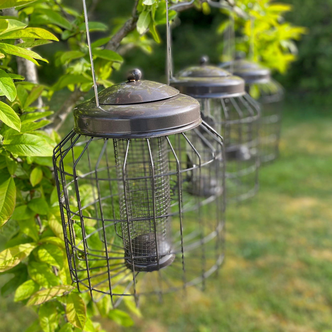 Deluxe Heavy Duty Squirrel Proof Hanging Nut, Seed & Fat Ball Bird Feeders (Set of 3)