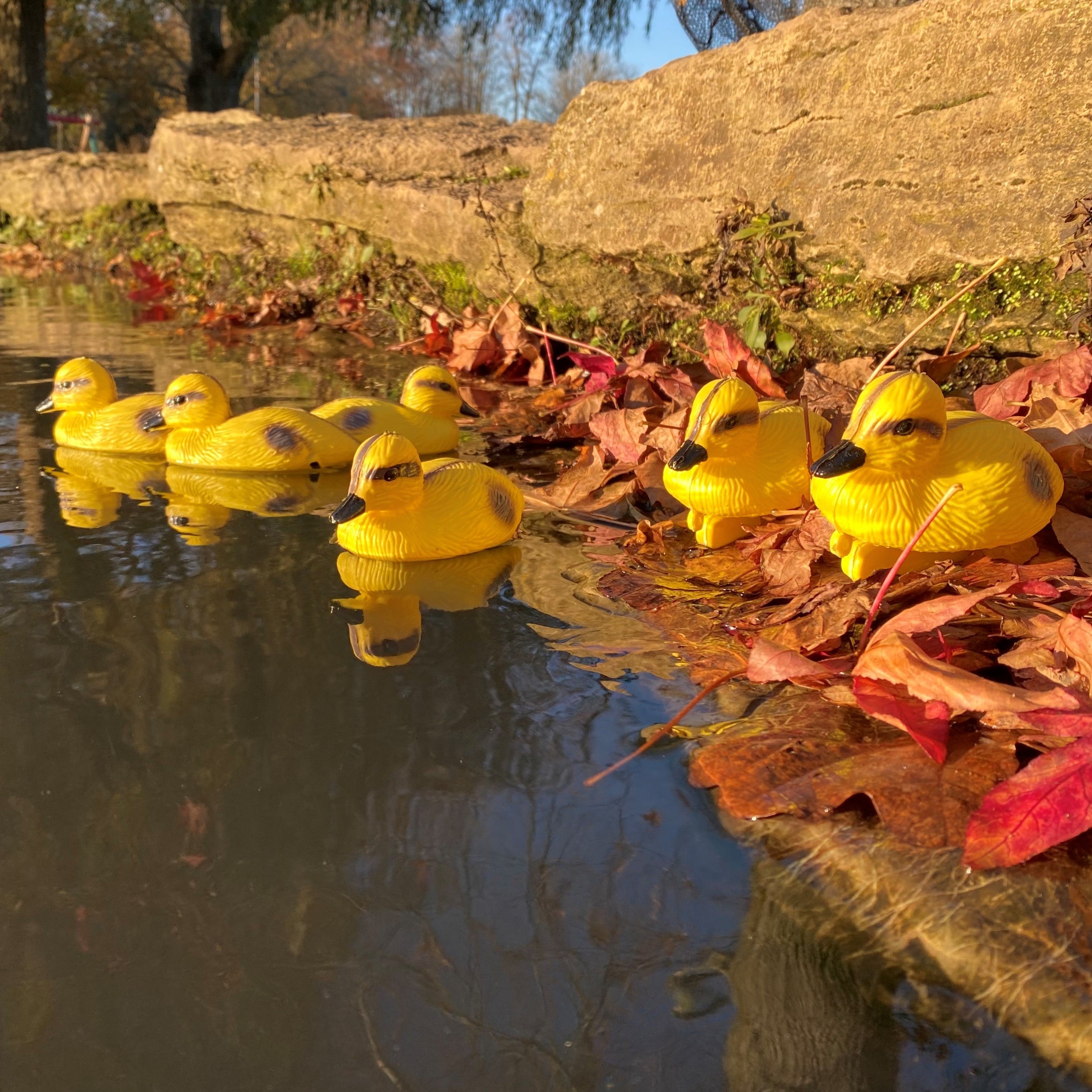 Yellow Ducklings Pond Ornament Hunting Shooting Floating Decoy - Pack of 6