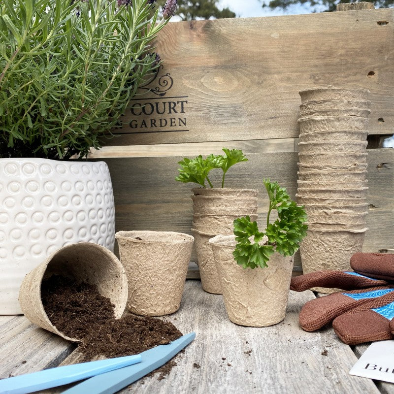 Eco Round Fibre Biodegradable and Compostable Plant Pots (5cm ) - Pack of 144