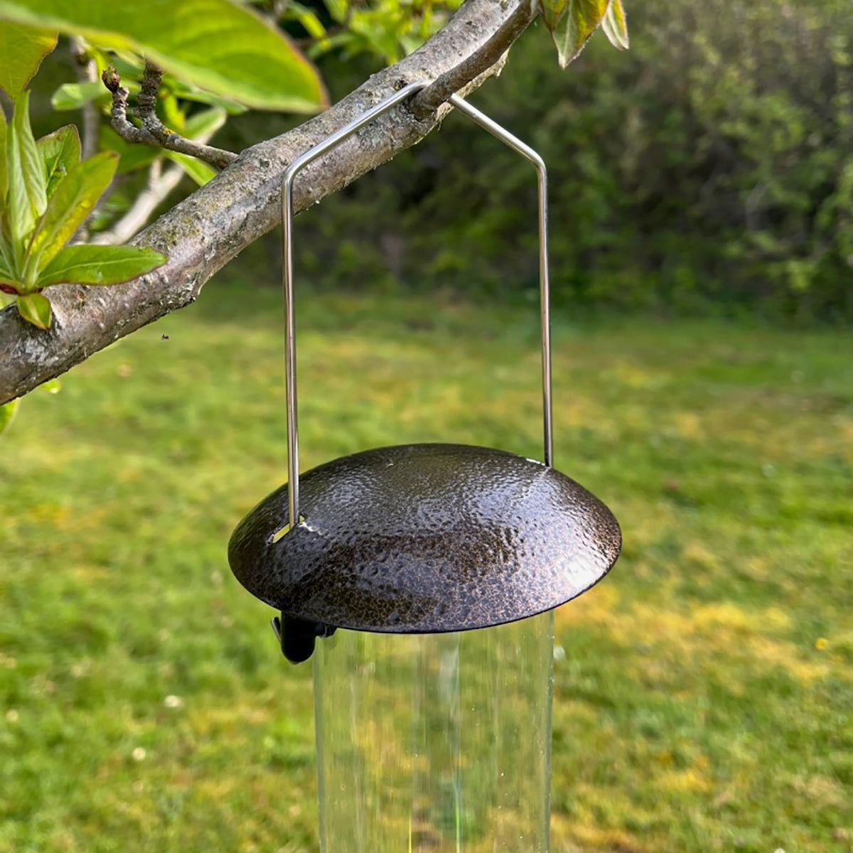 Large Hanging Bird Seed Feeder