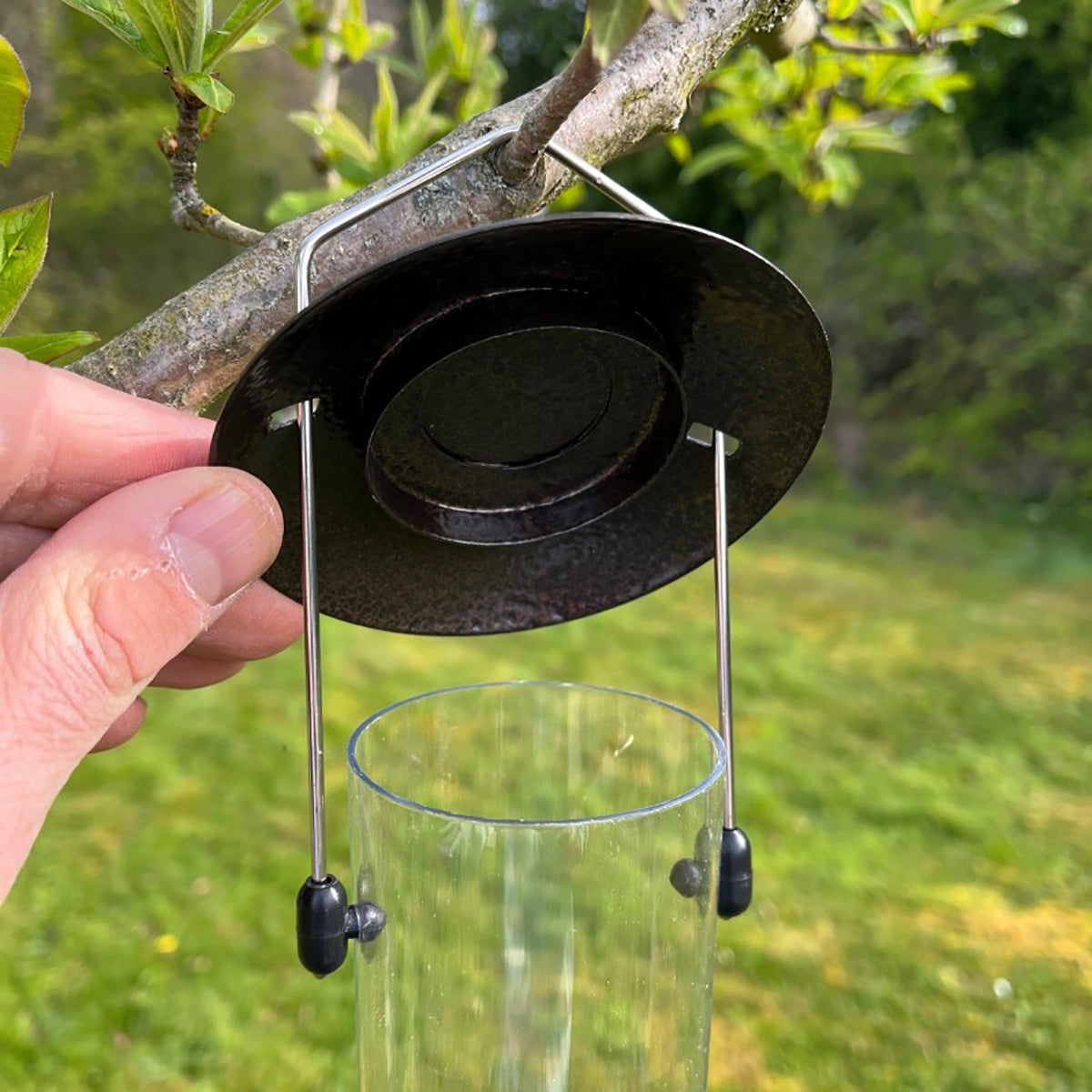 Large Hanging Bird Seed Feeder